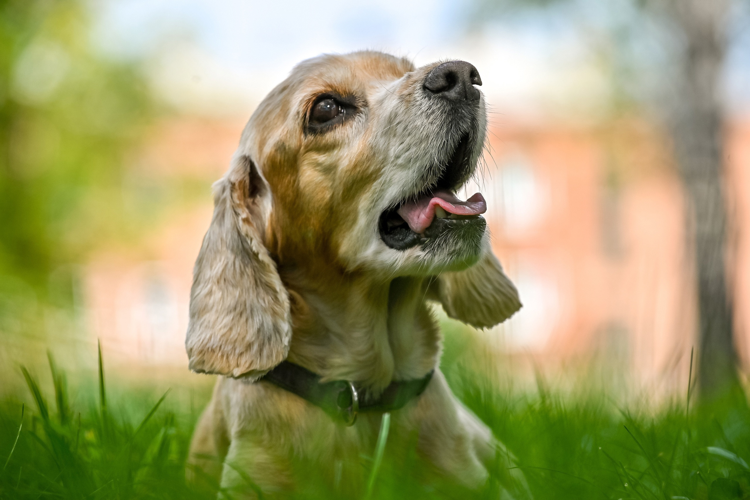 Прогулка фотоклуба «Мотив» 04.09.2022. Репортажный профессиональный фотограф-любитель