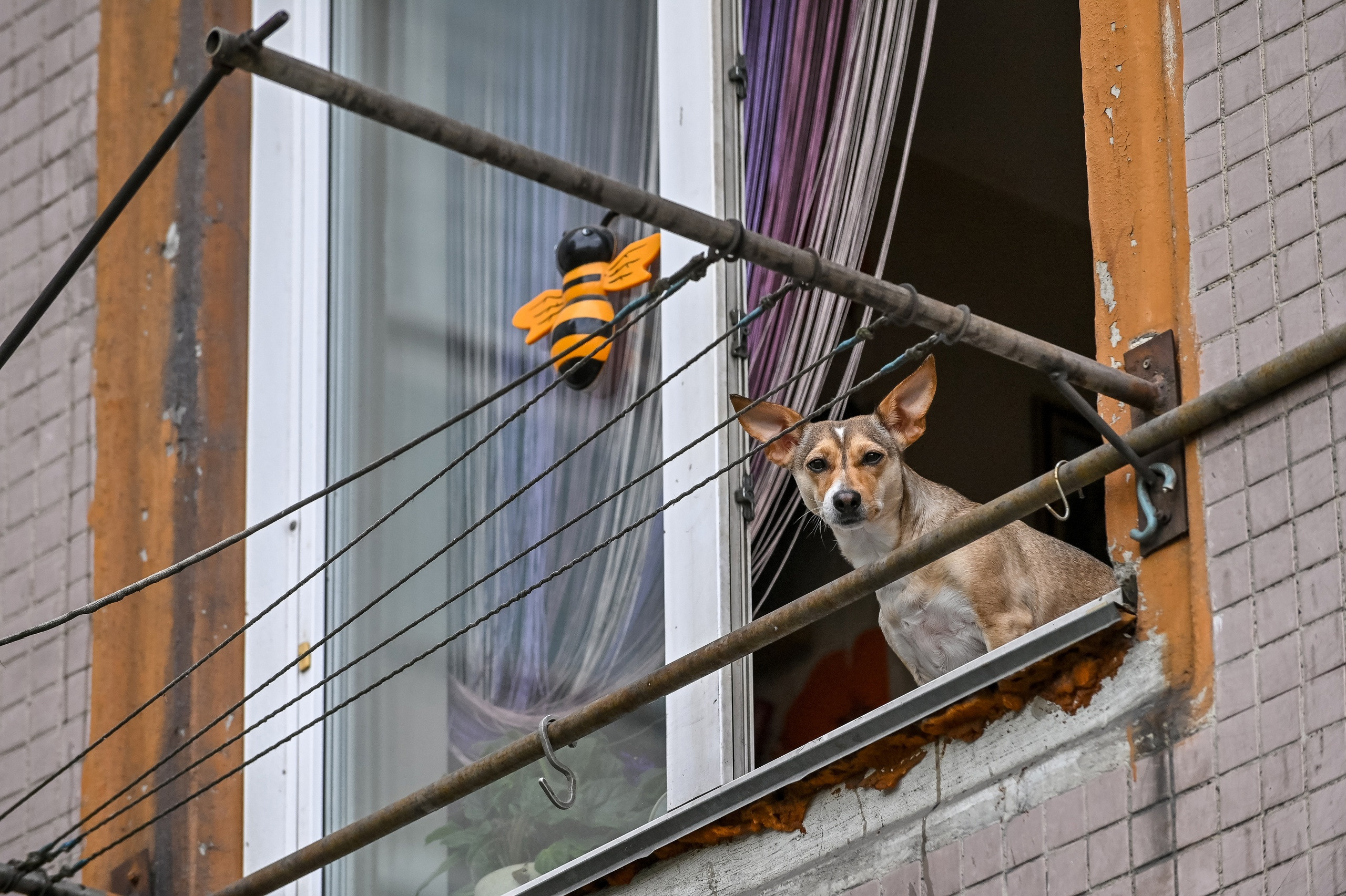 Прогулка фотоклуба «Мотив» 04.09.2022. Репортажный профессиональный фотограф-любитель