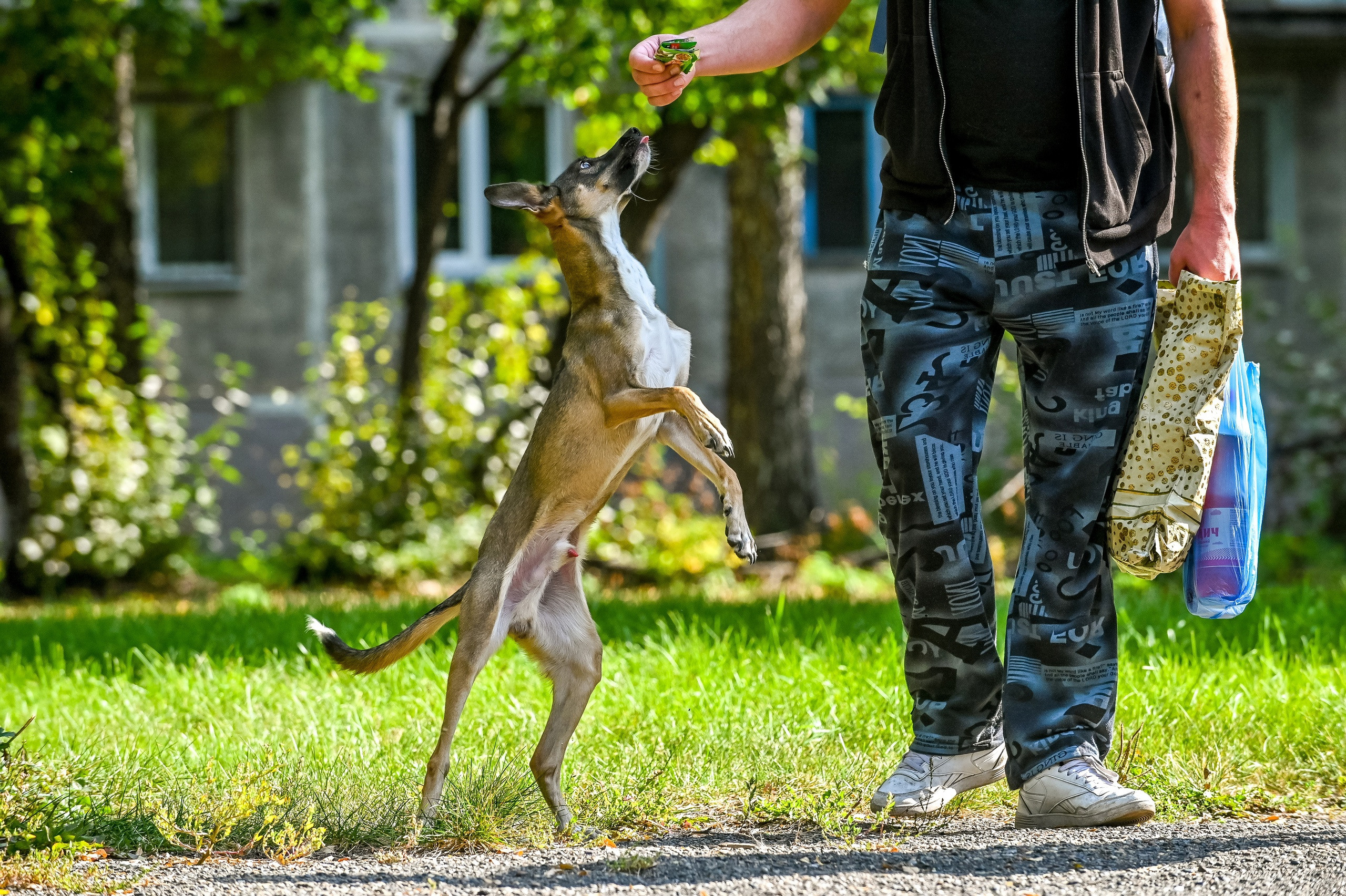 Прогулка фотоклуба «Мотив» 04.09.2022. Репортажный профессиональный фотограф-любитель