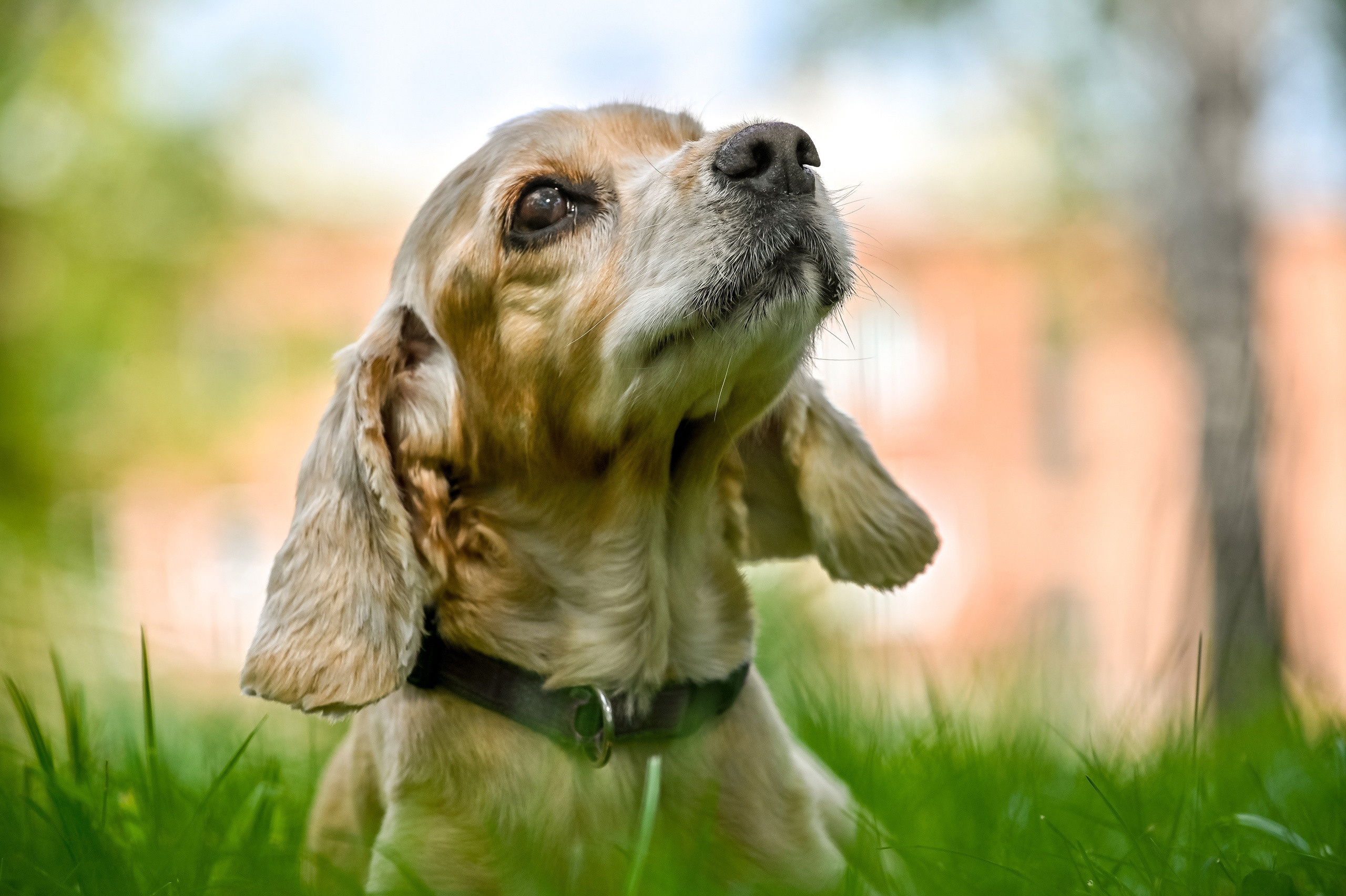 Прогулка фотоклуба «Мотив» 04.09.2022. Репортажный профессиональный фотограф-любитель