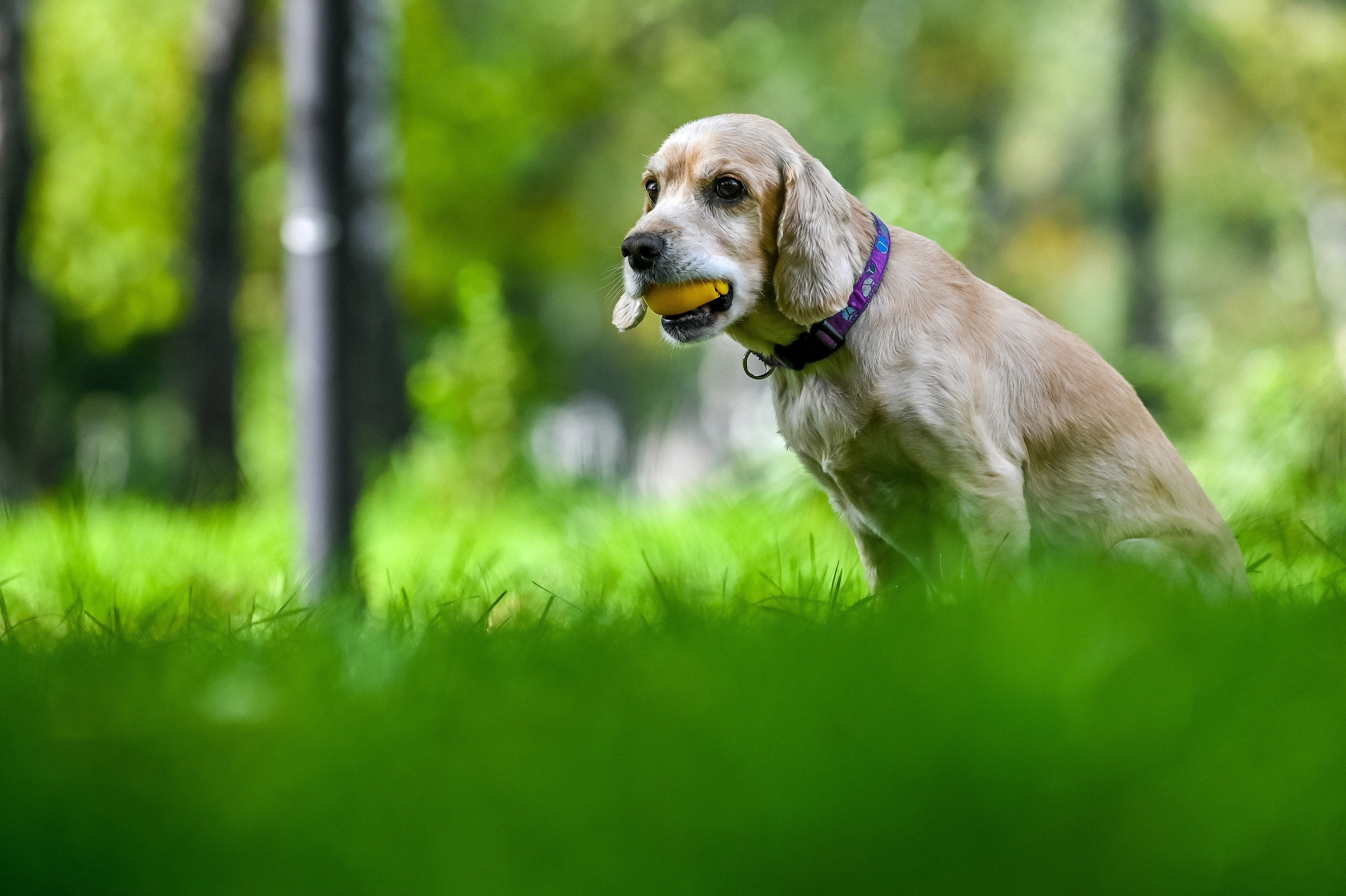 Прогулка фотоклуба «Мотив» 04.09.2022. Репортажный профессиональный фотограф-любитель