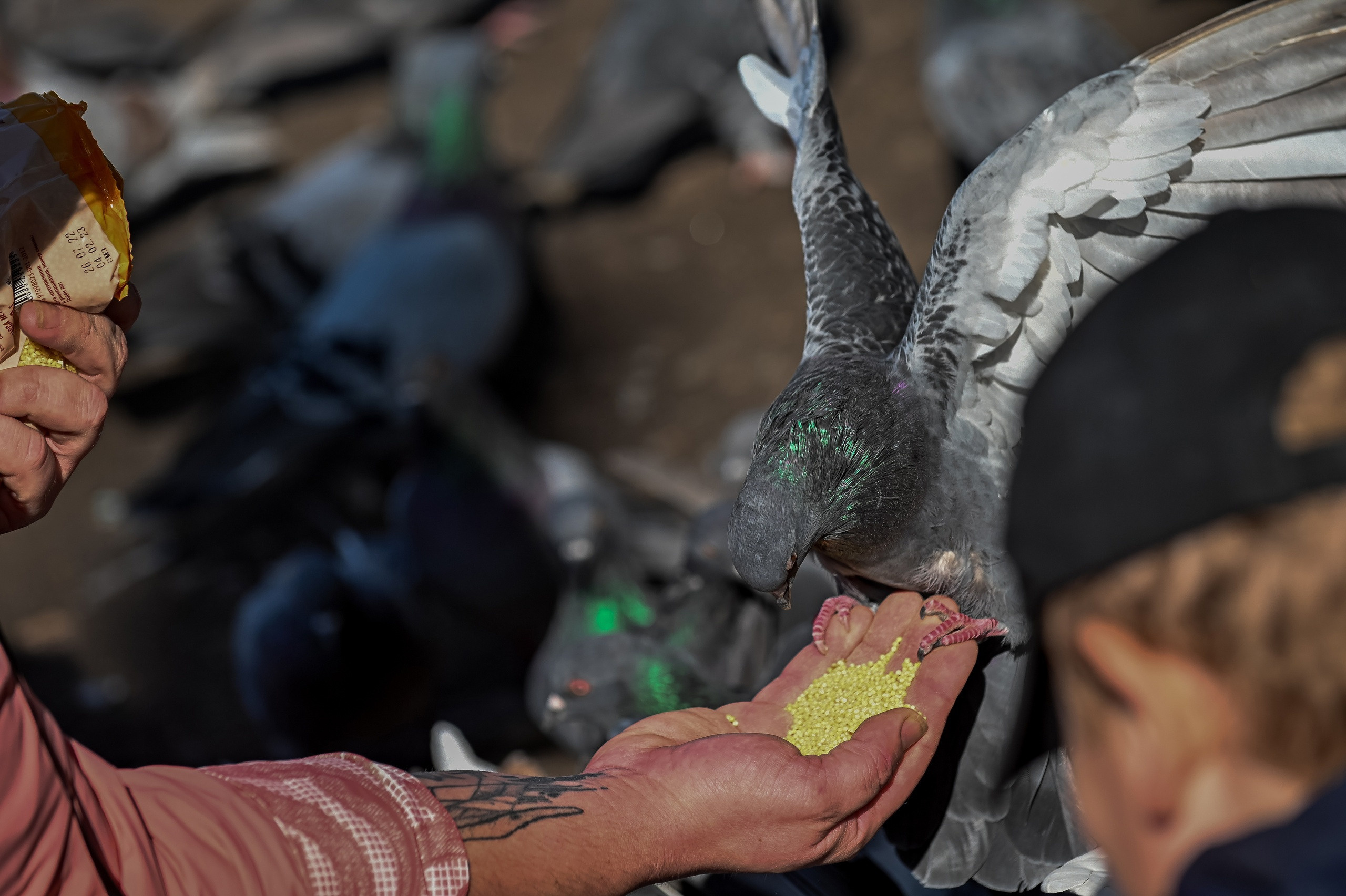 Осенняя фотопрогулка по городу Н 17.09.2022. Репортажный профессиональный фотограф-любитель