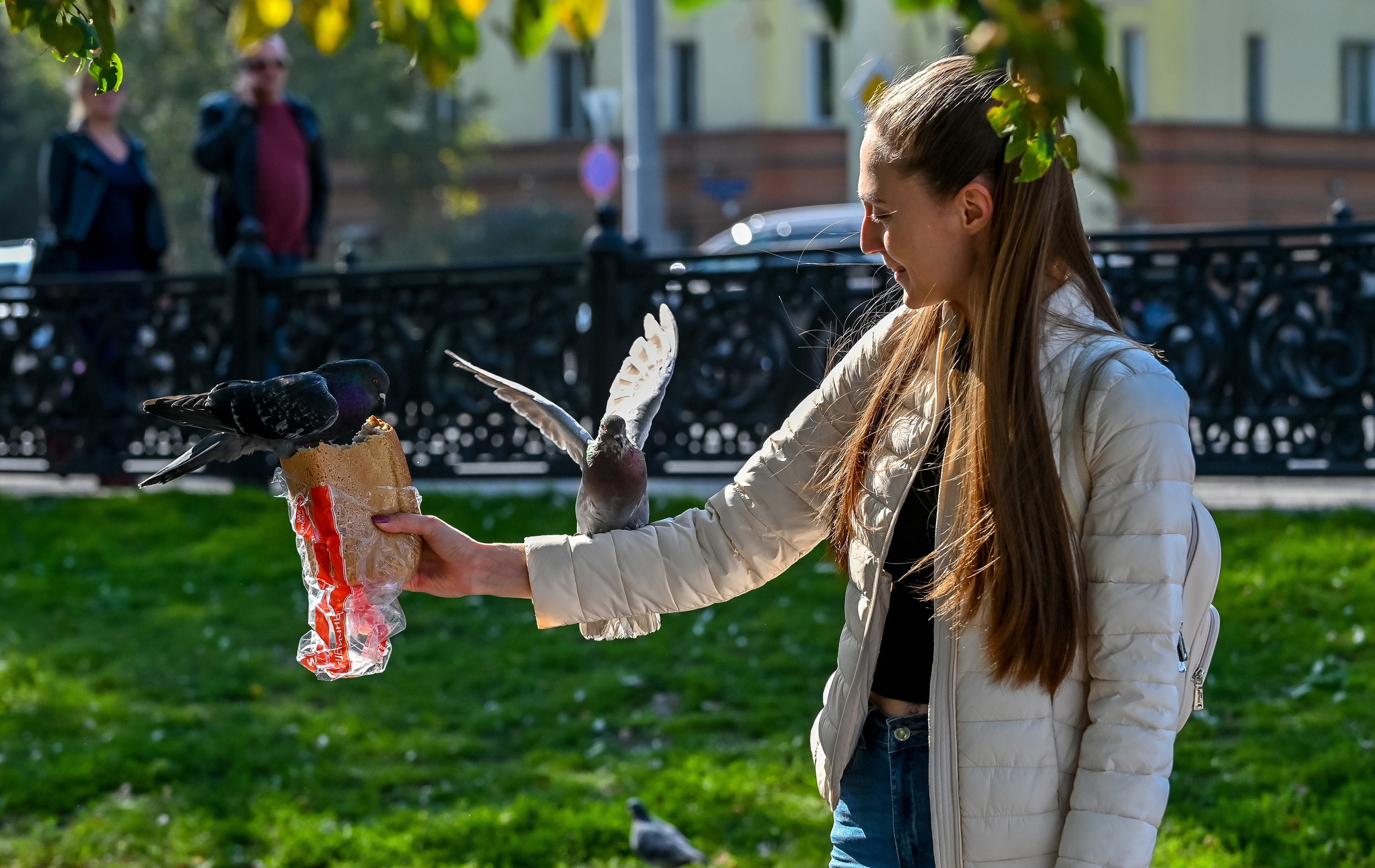 Осенняя фотопрогулка по городу Н 17.09.2022. Репортажный профессиональный фотограф-любитель