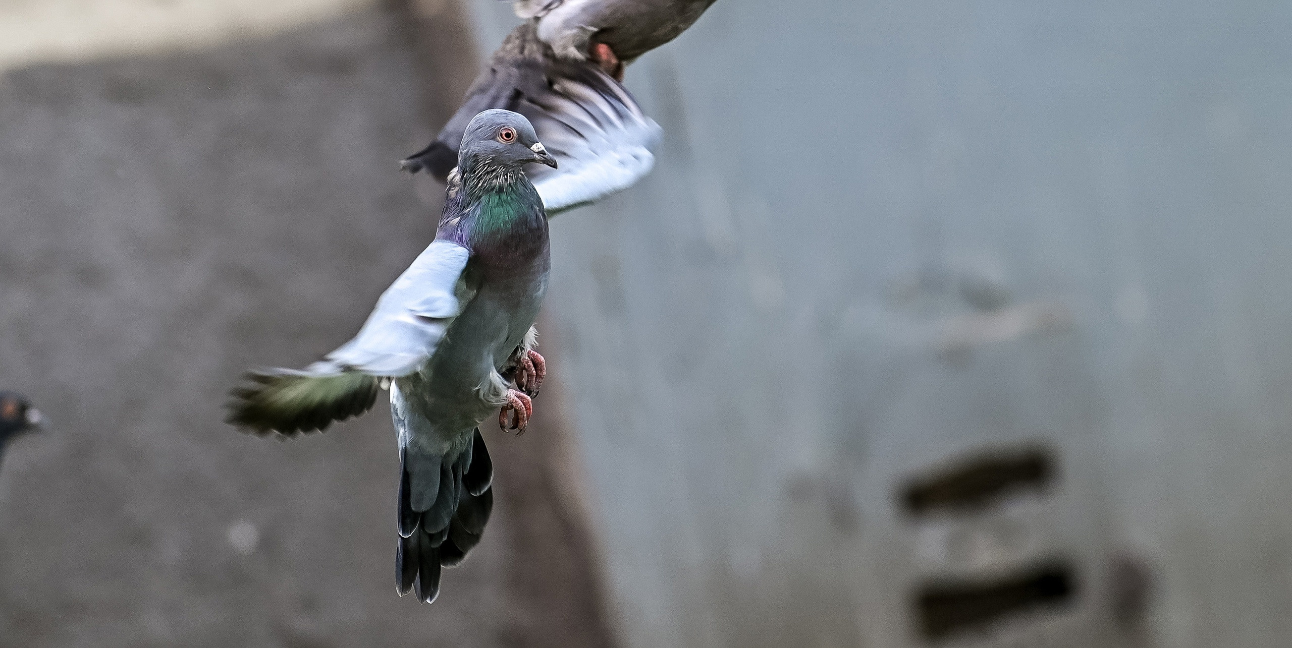 Прогулка фотоклуба «Мотив» 04.09.2022. Репортажный профессиональный фотограф-любитель