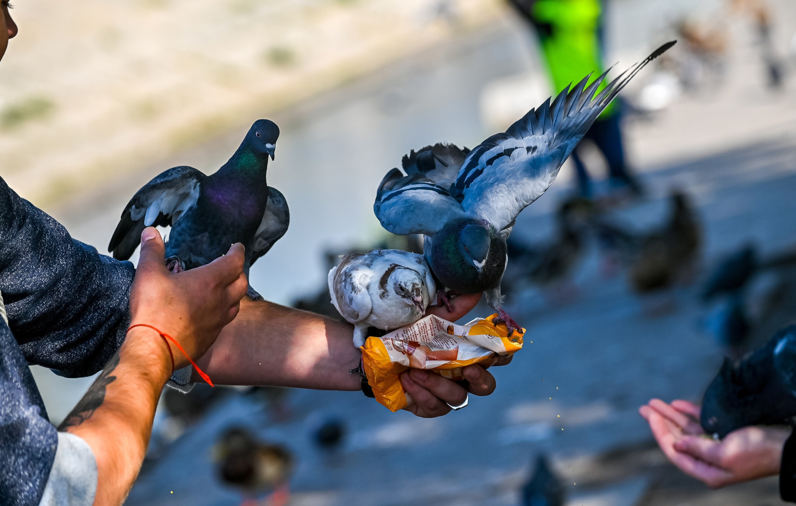 Осенняя фотопрогулка по городу Н 17.09.2022. Репортажный профессиональный фотограф-любитель