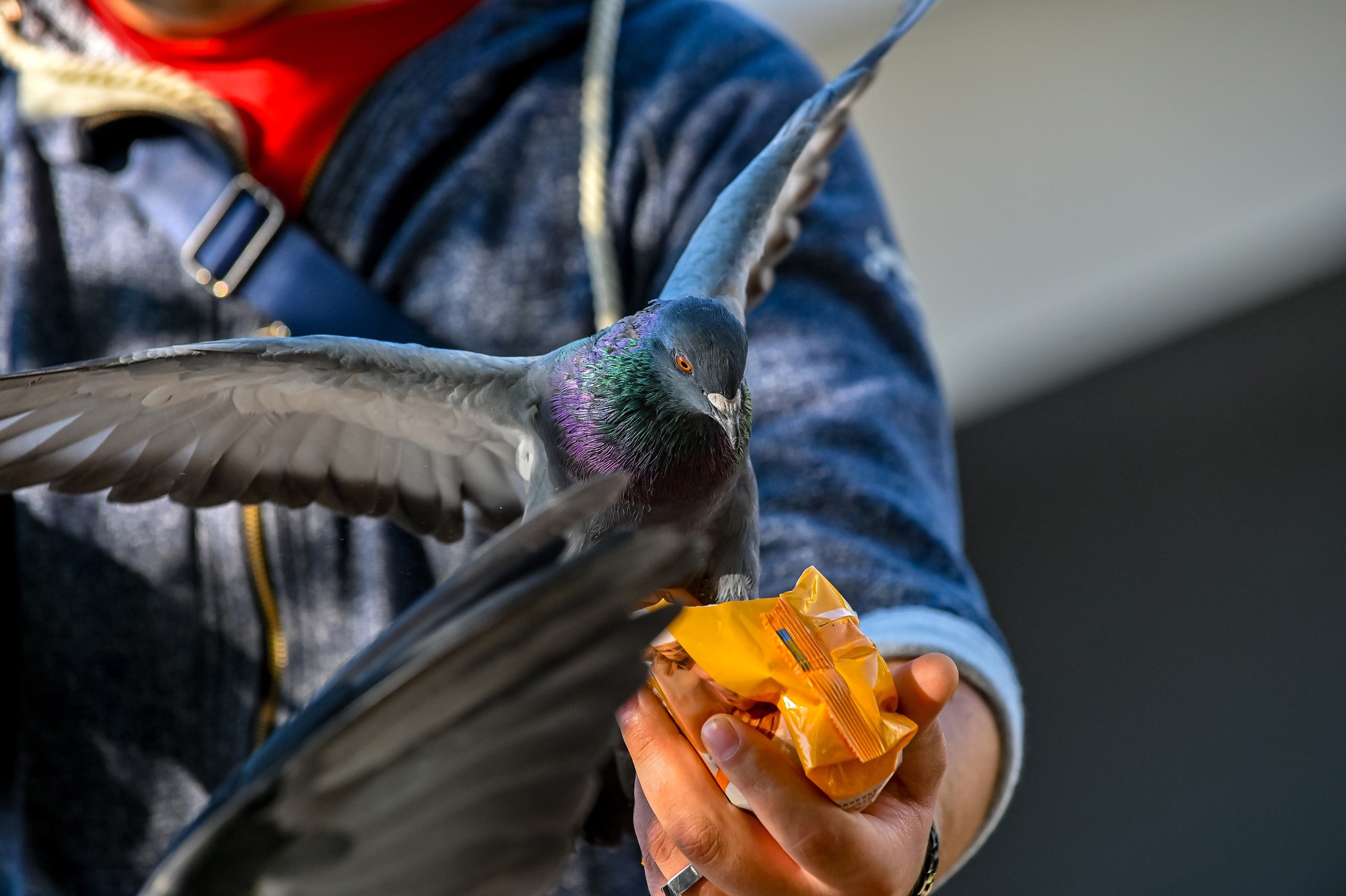 Осенняя фотопрогулка по городу Н 17.09.2022. Репортажный профессиональный фотограф-любитель
