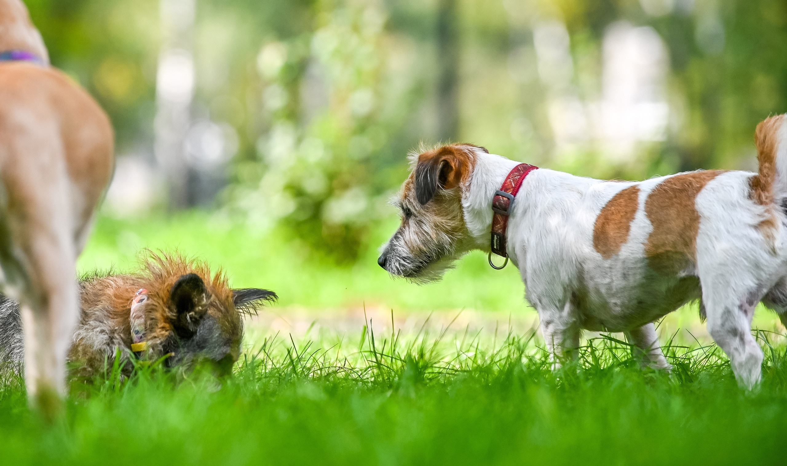 Прогулка фотоклуба «Мотив» 04.09.2022. Репортажный профессиональный фотограф-любитель