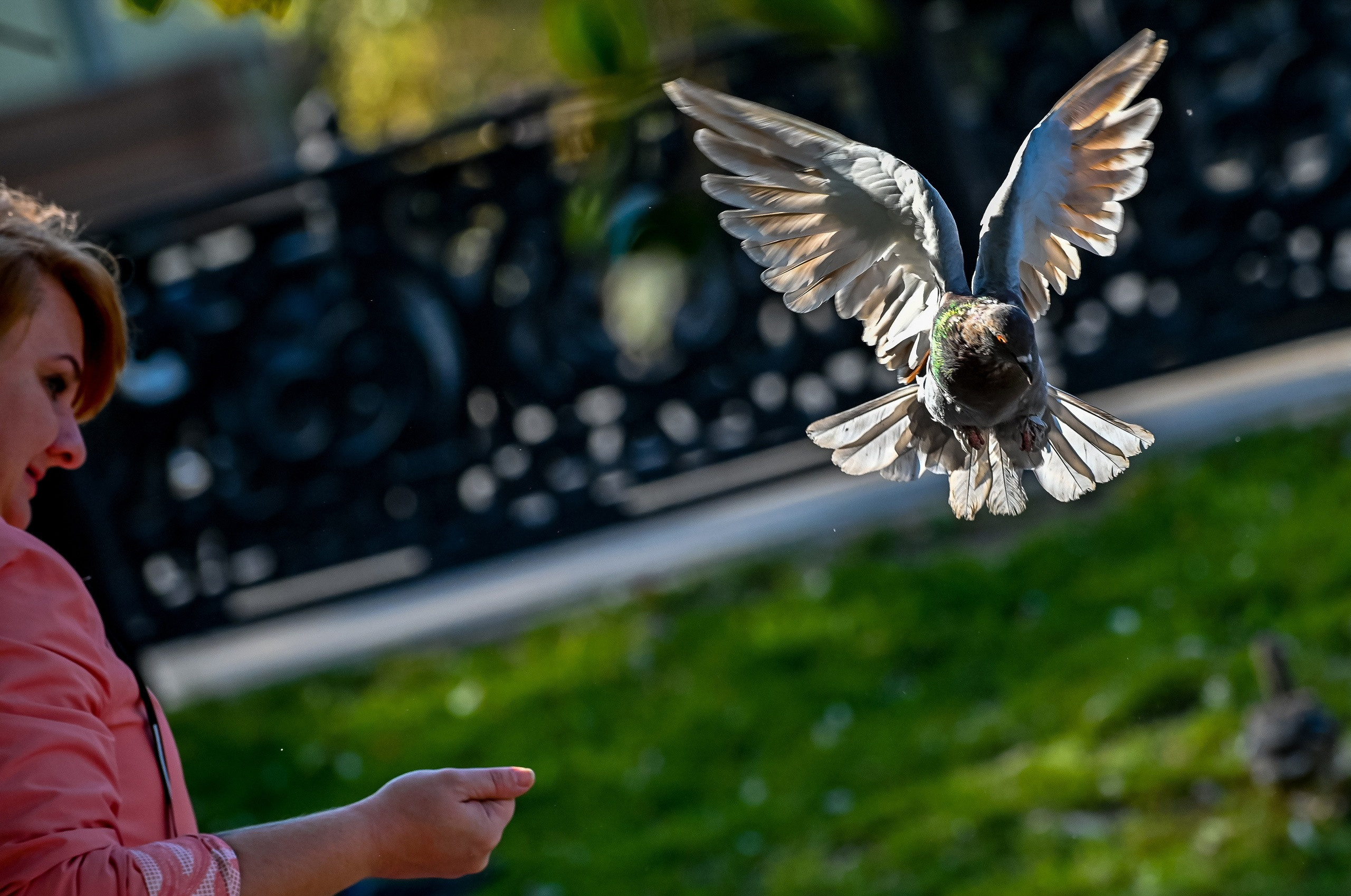 Осенняя фотопрогулка по городу Н 17.09.2022. Репортажный профессиональный фотограф-любитель
