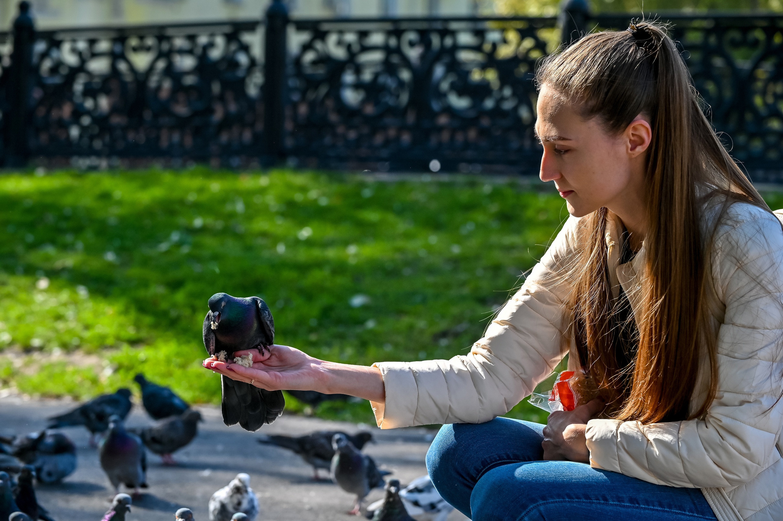 Осенняя фотопрогулка по городу Н 17.09.2022. Репортажный профессиональный фотограф-любитель