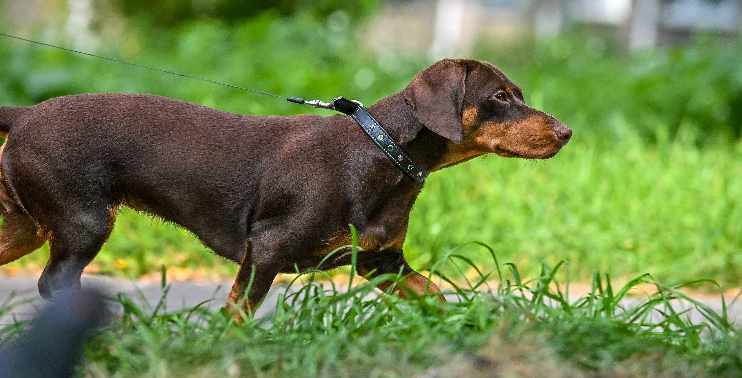 Прогулка фотоклуба «Мотив» 04.09.2022. Репортажный профессиональный фотограф-любитель