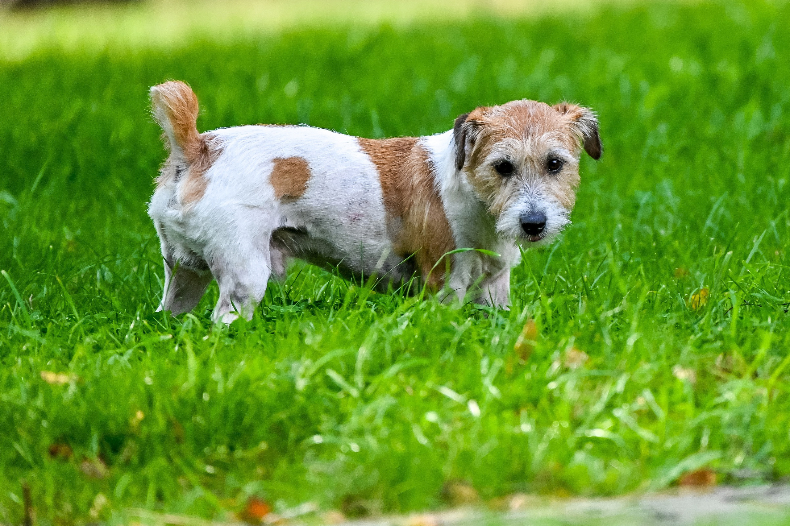Прогулка фотоклуба «Мотив» 04.09.2022. Репортажный профессиональный фотограф-любитель