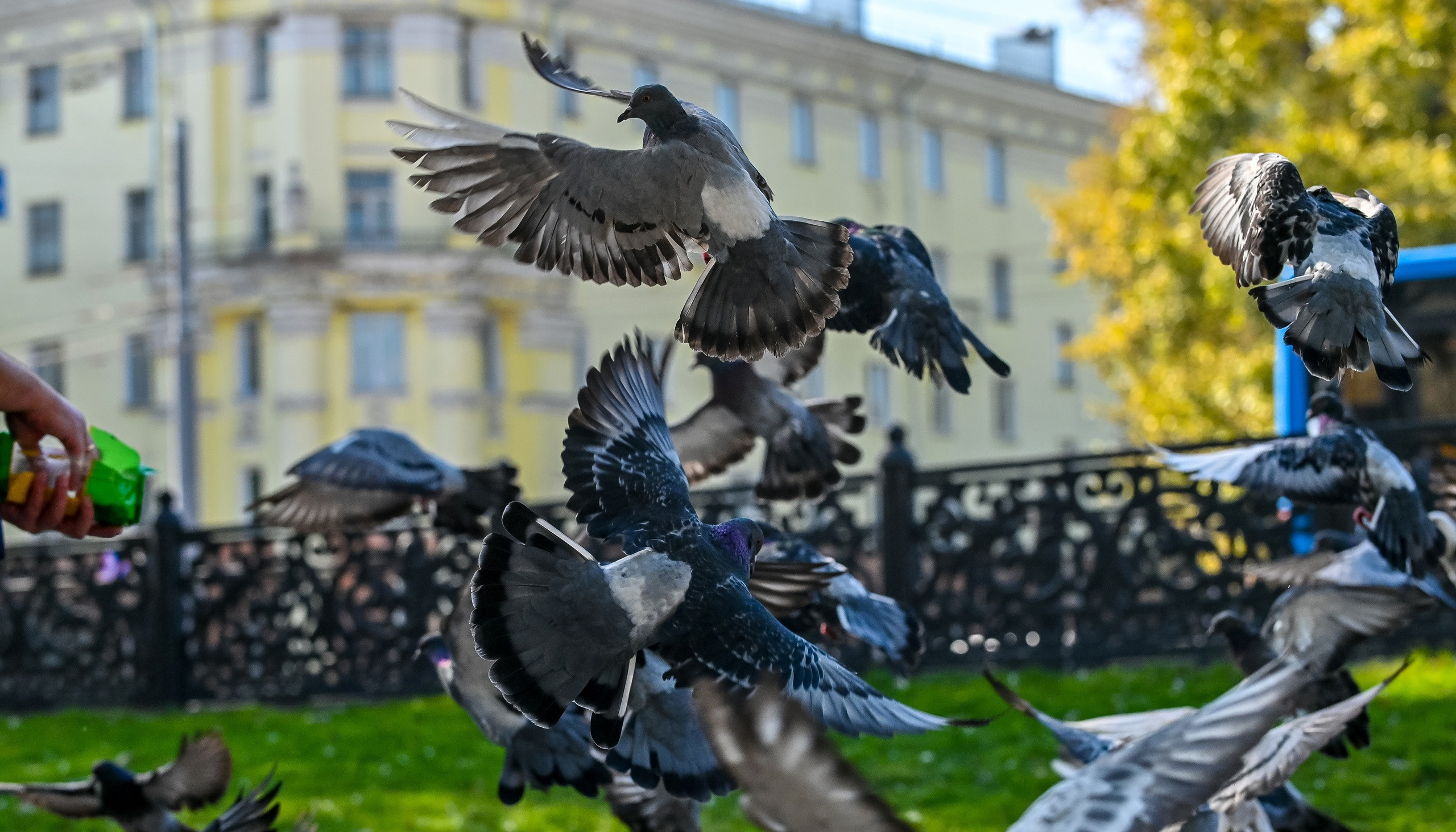 Осенняя фотопрогулка по городу Н 17.09.2022. Репортажный профессиональный фотограф-любитель