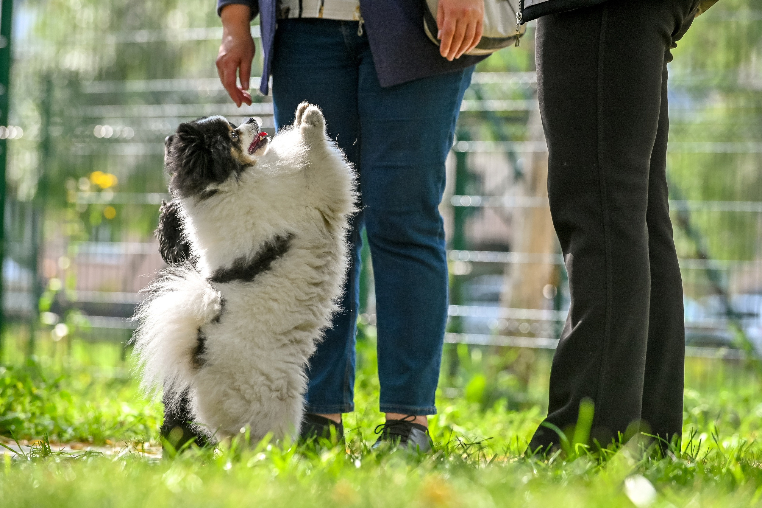 Прогулка фотоклуба «Мотив» 04.09.2022. Репортажный профессиональный фотограф-любитель