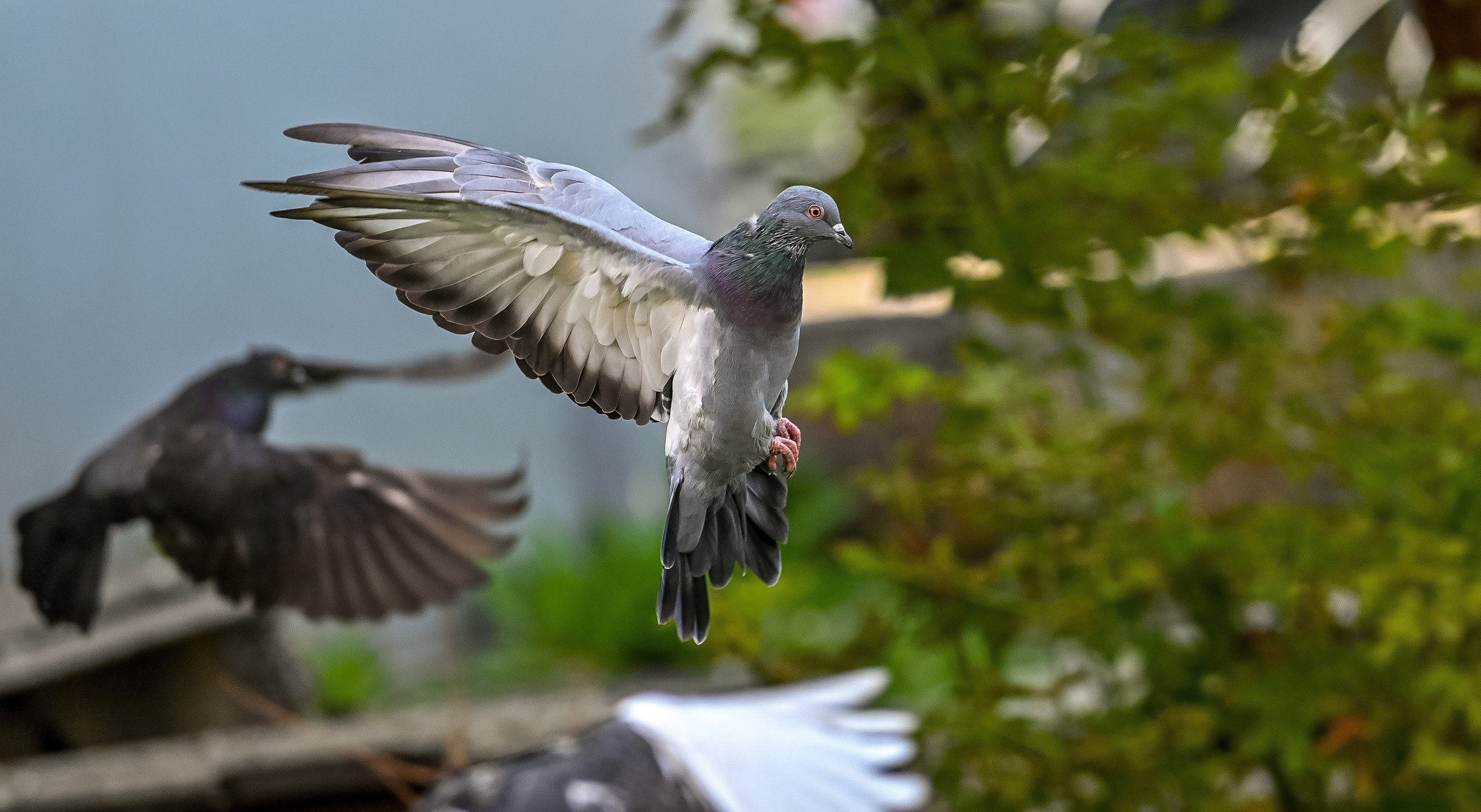 Прогулка фотоклуба «Мотив» 04.09.2022. Репортажный профессиональный фотограф-любитель
