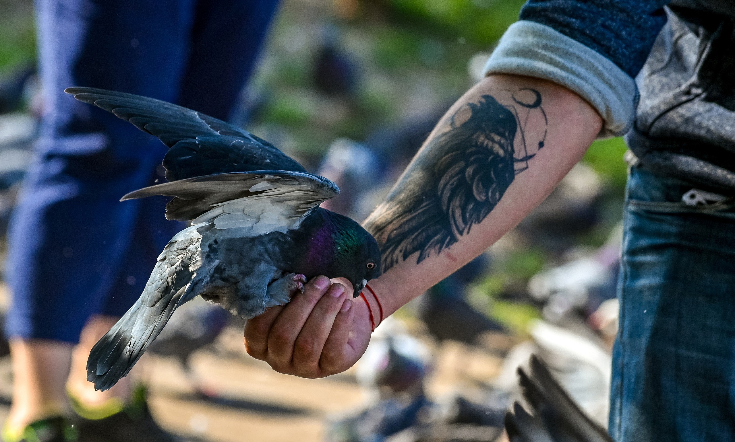 Осенняя фотопрогулка по городу Н 17.09.2022. Репортажный профессиональный фотограф-любитель