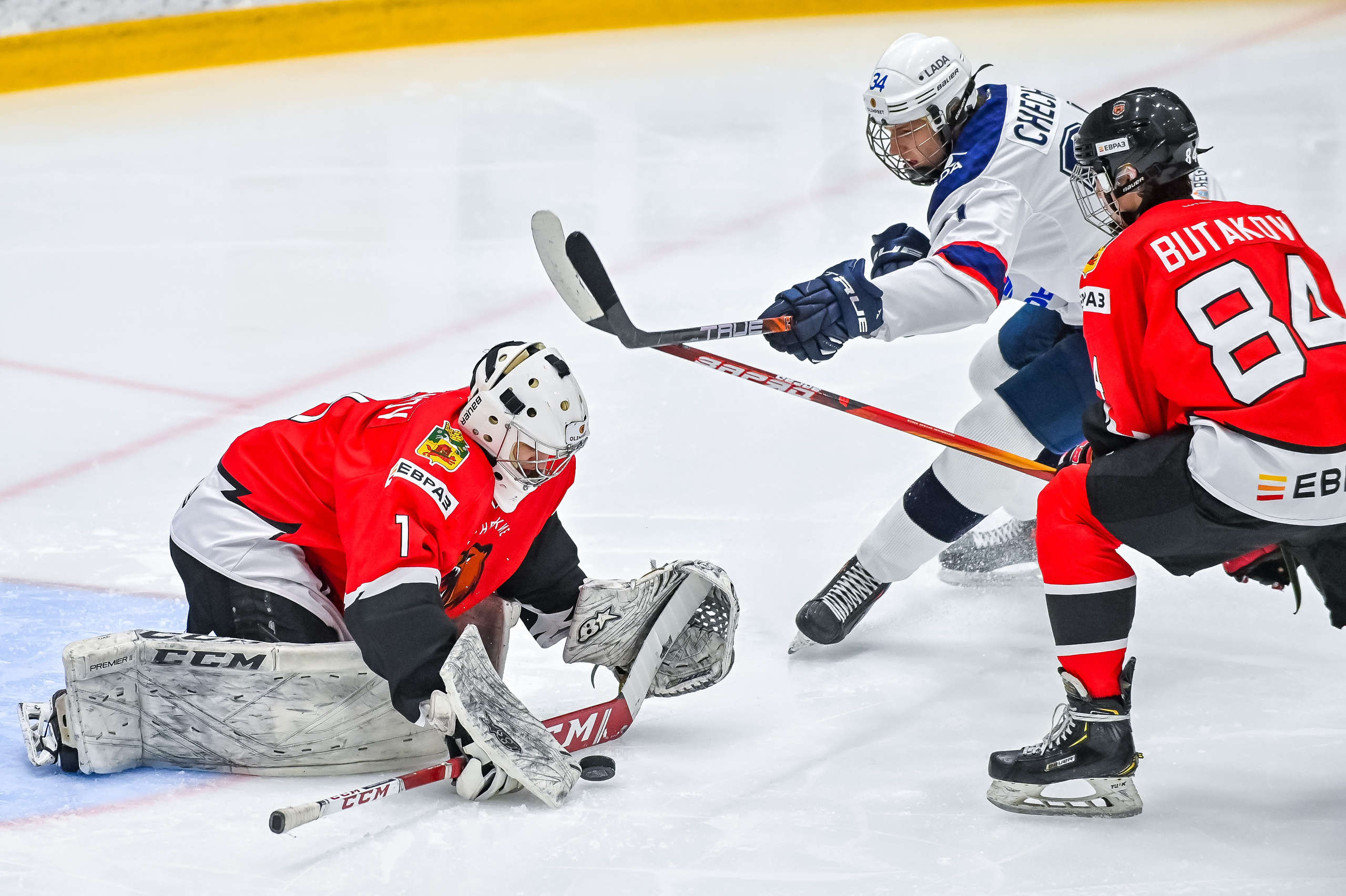 «Кузнецкие Медведи» — «Ладья» 08.01.2023. Репортажный профессиональный фотограф-любитель