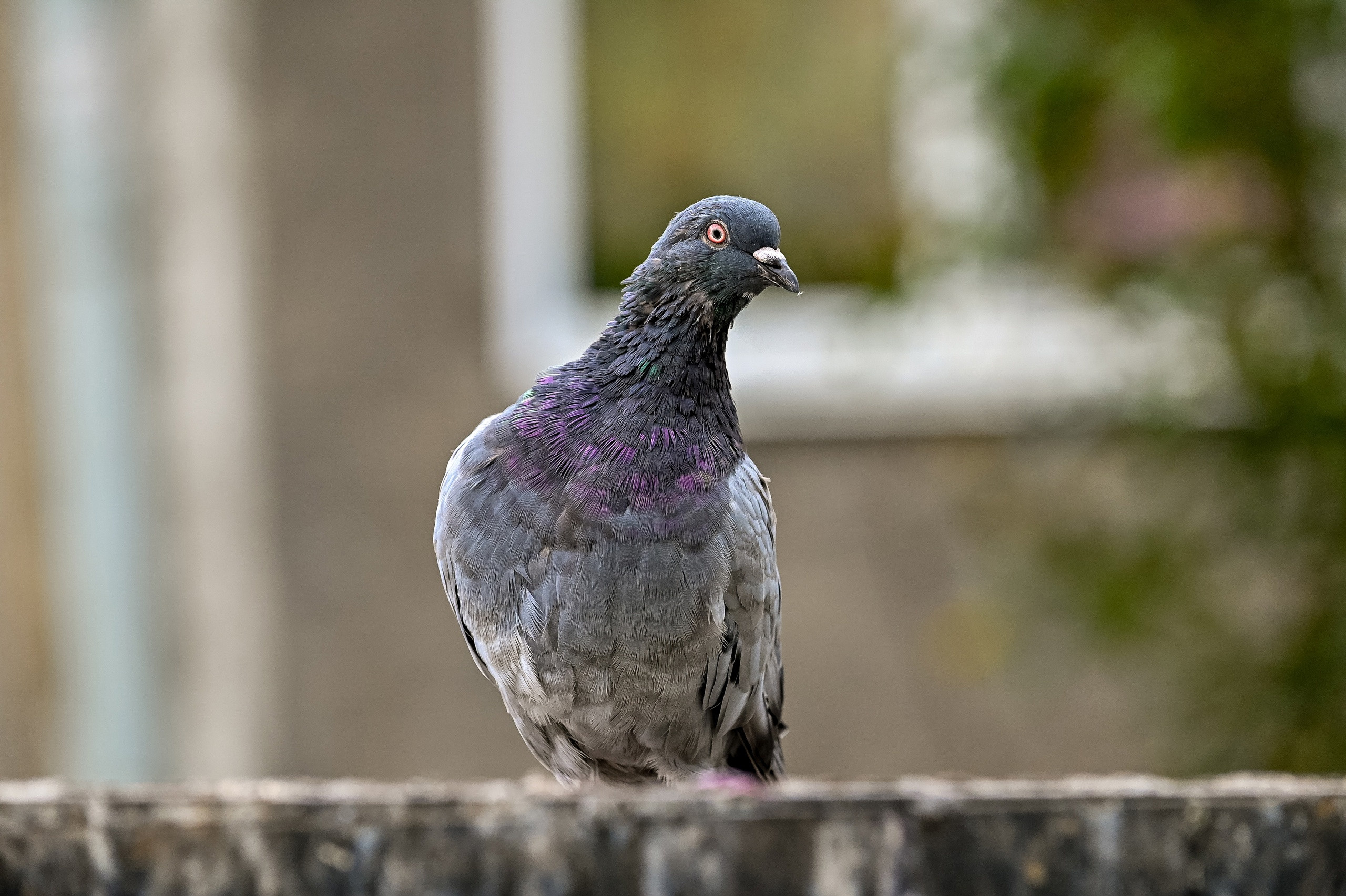 Прогулка фотоклуба «Мотив» 04.09.2022. Репортажный профессиональный фотограф-любитель