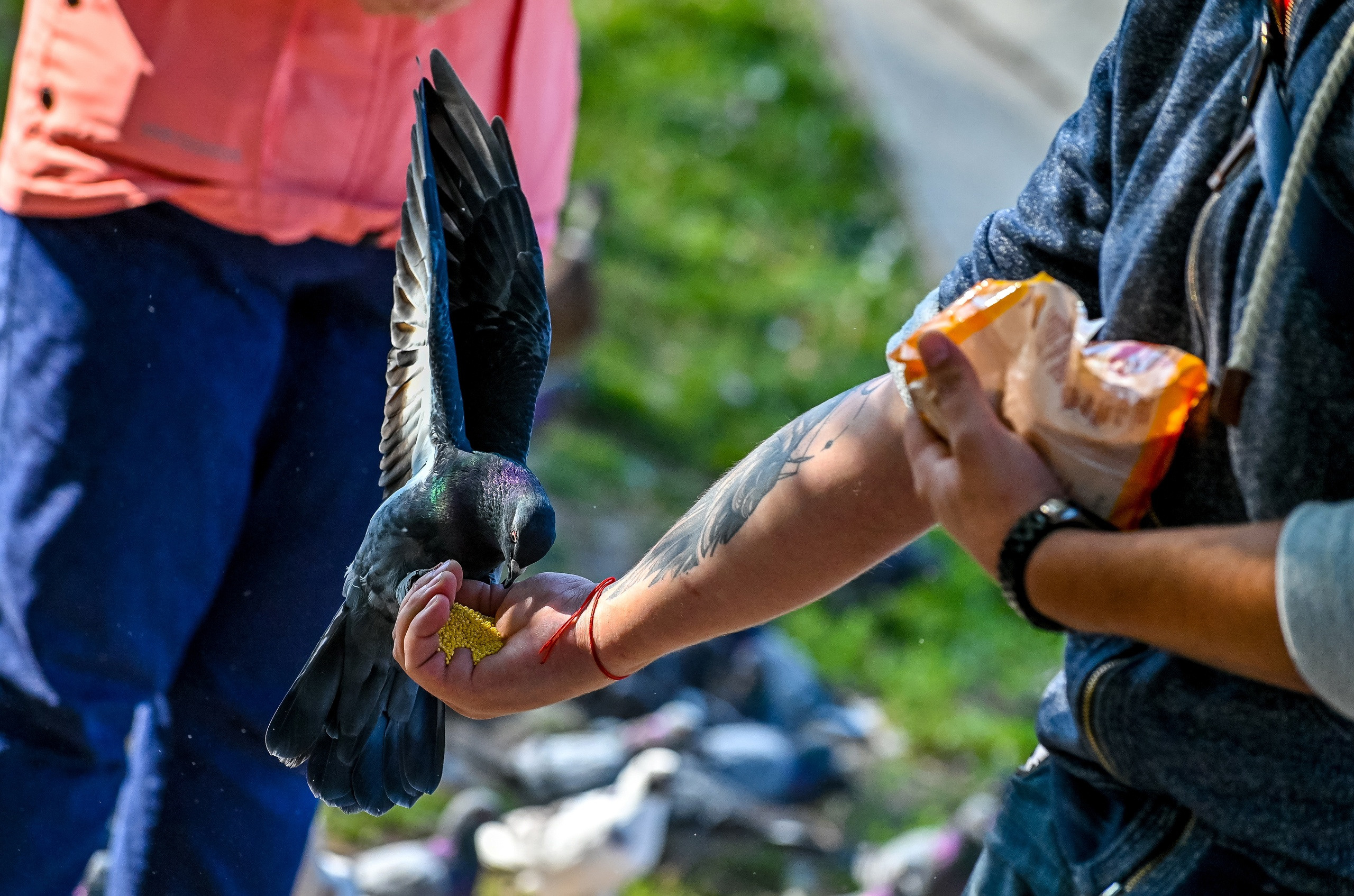Осенняя фотопрогулка по городу Н 17.09.2022. Репортажный профессиональный фотограф-любитель