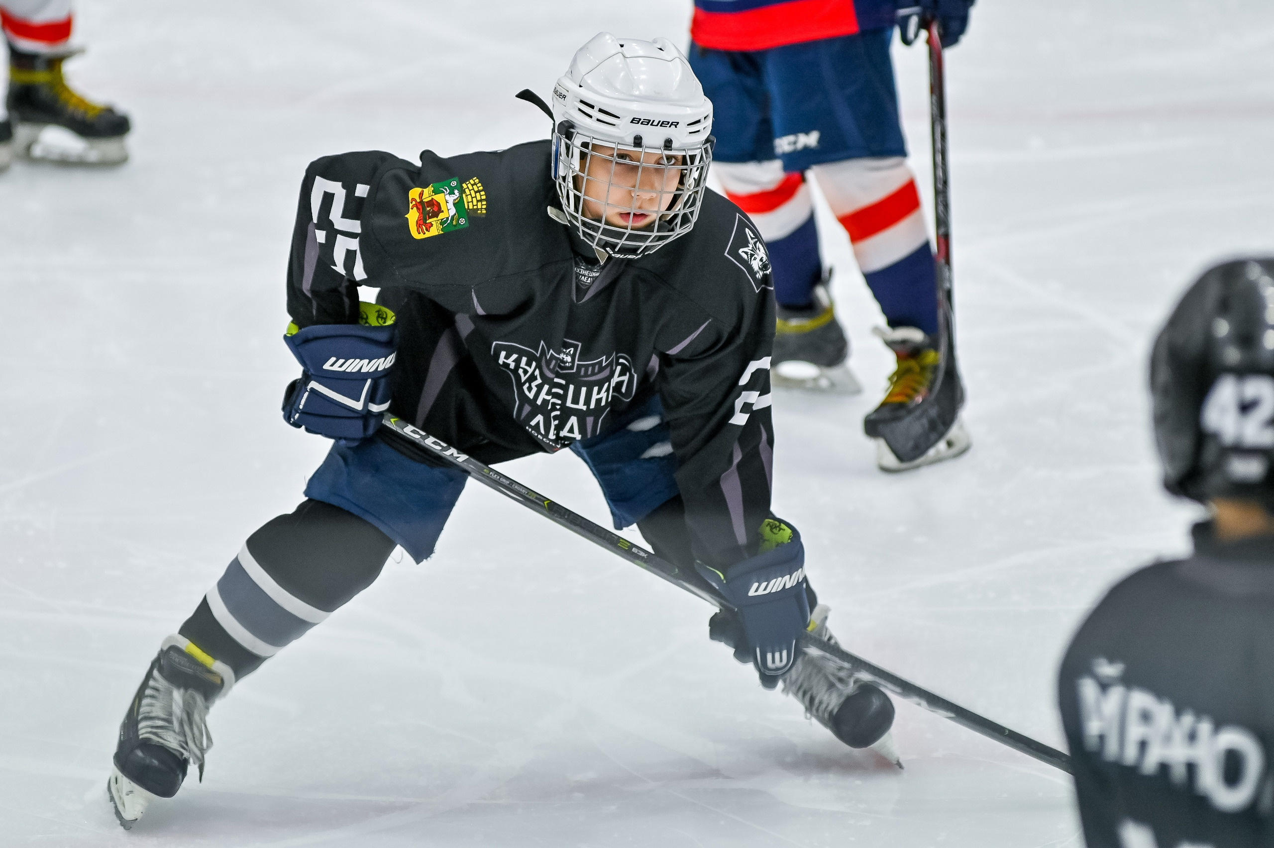 «Кузнецкий лёд» — «Кристалл» (Бердск) 10:2 03.05.2021. Репортажный профессиональный фотограф-любитель