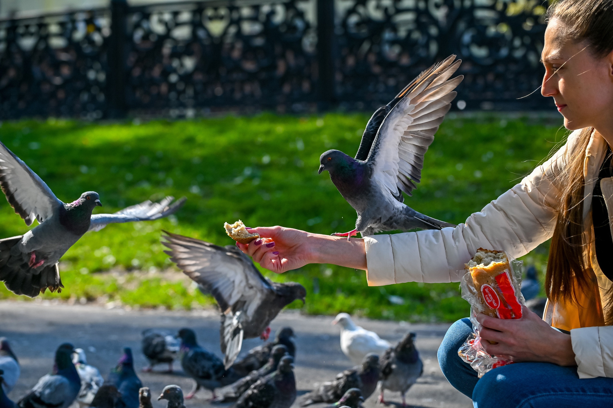 Осенняя фотопрогулка по городу Н 17.09.2022. Репортажный профессиональный фотограф-любитель