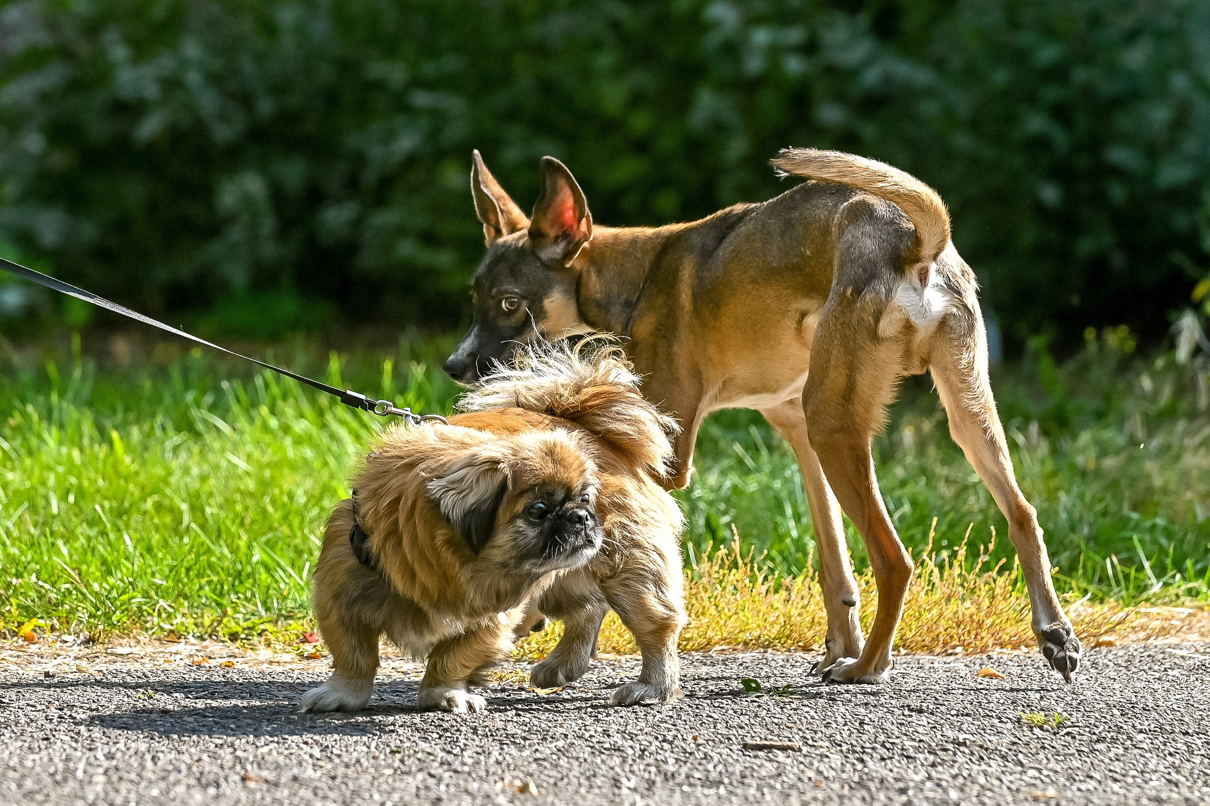 Прогулка фотоклуба «Мотив» 04.09.2022. Репортажный профессиональный фотограф-любитель