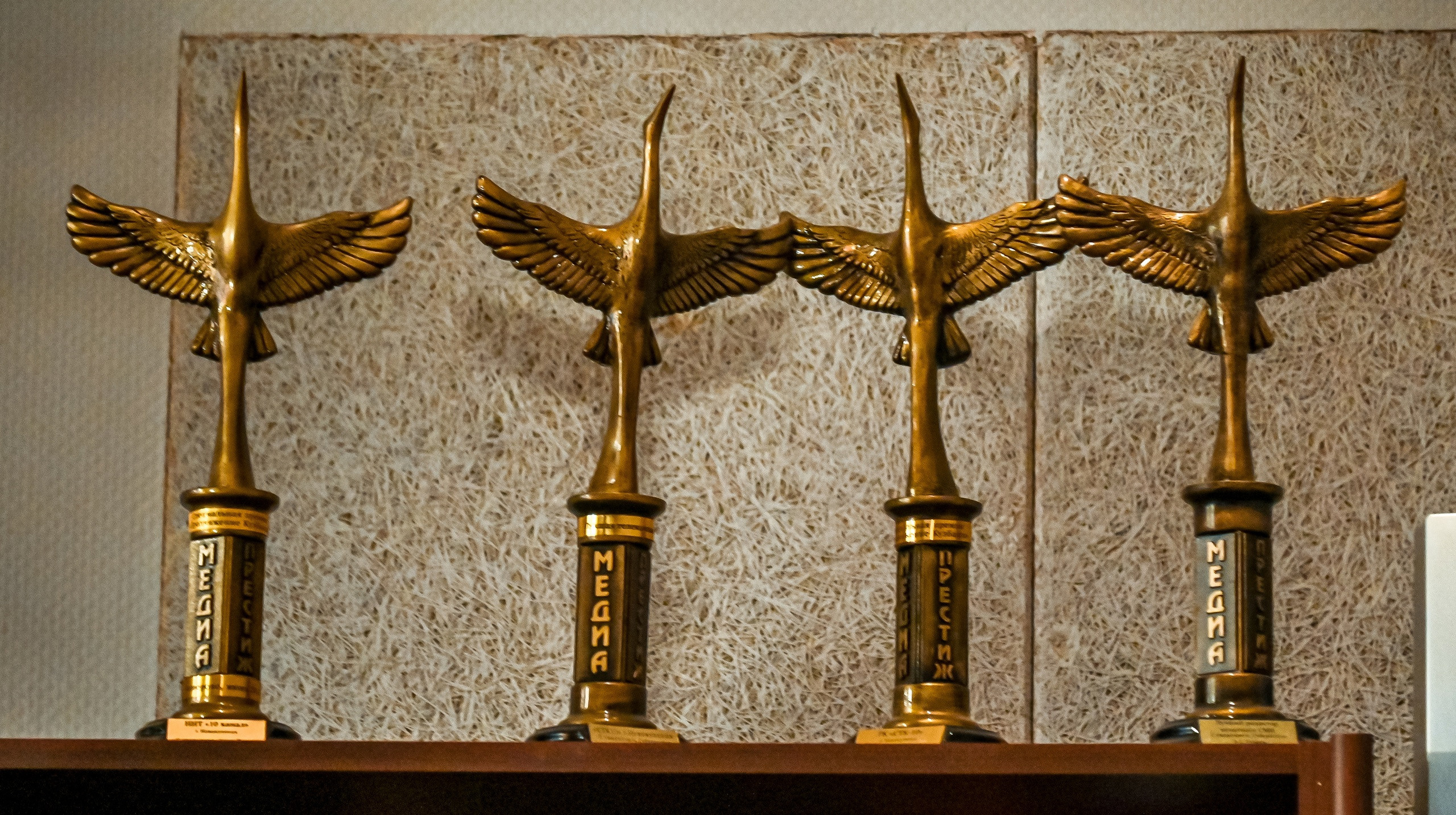 Самое время. Утро! Запись программы 19.12.2022. Репортажный профессиональный фотограф-любитель