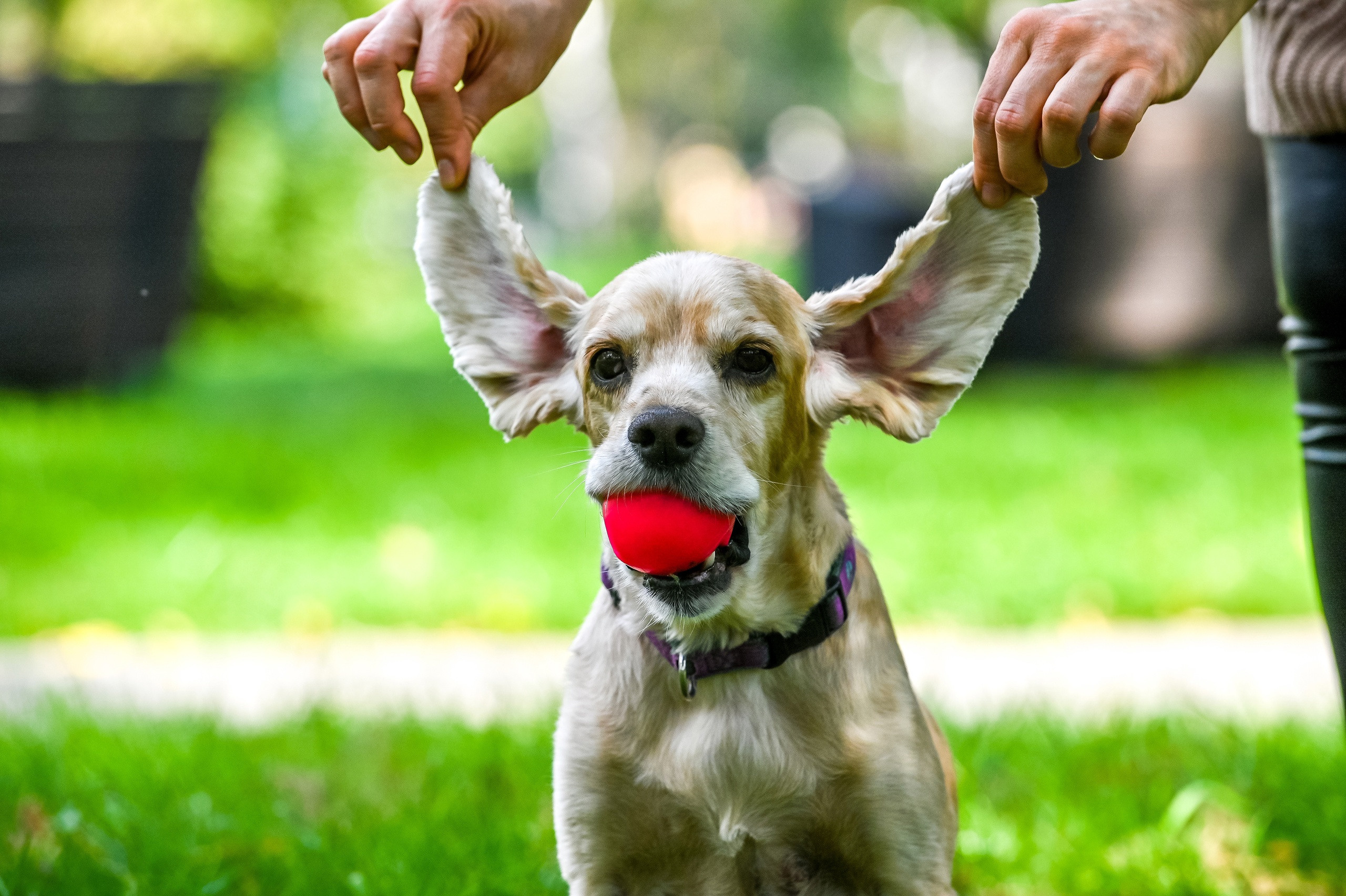 Прогулка фотоклуба «Мотив» 04.09.2022. Репортажный профессиональный фотограф-любитель