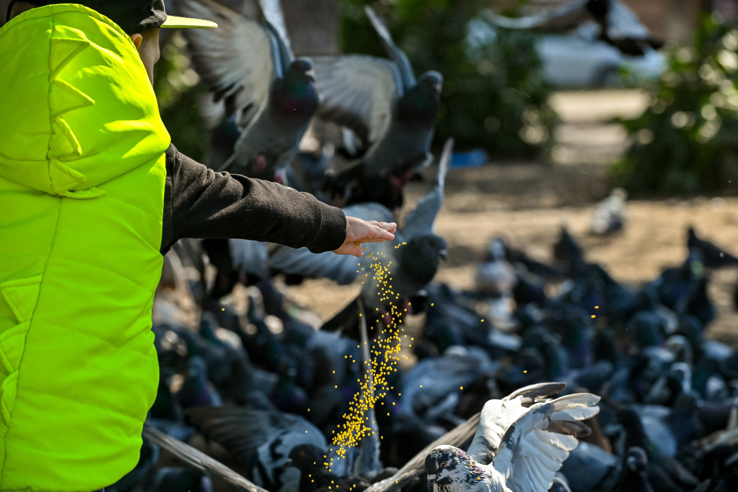 Осенняя фотопрогулка по городу Н 17.09.2022. Репортажный профессиональный фотограф-любитель