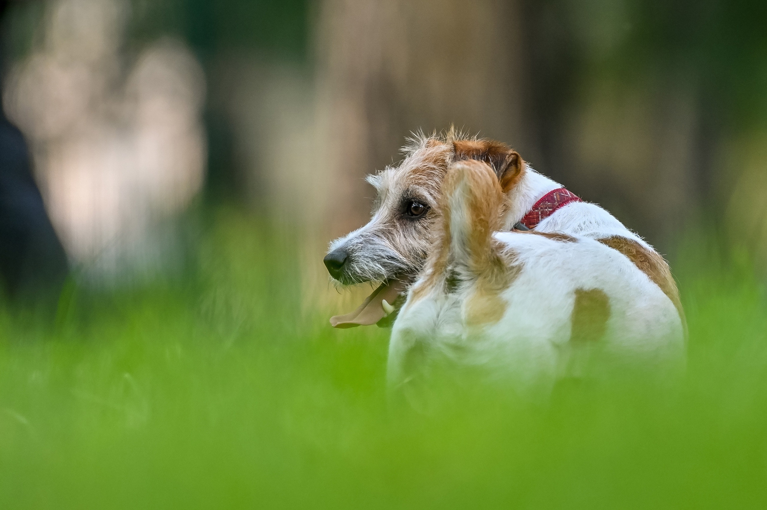 Прогулка фотоклуба «Мотив» 04.09.2022. Репортажный профессиональный фотограф-любитель