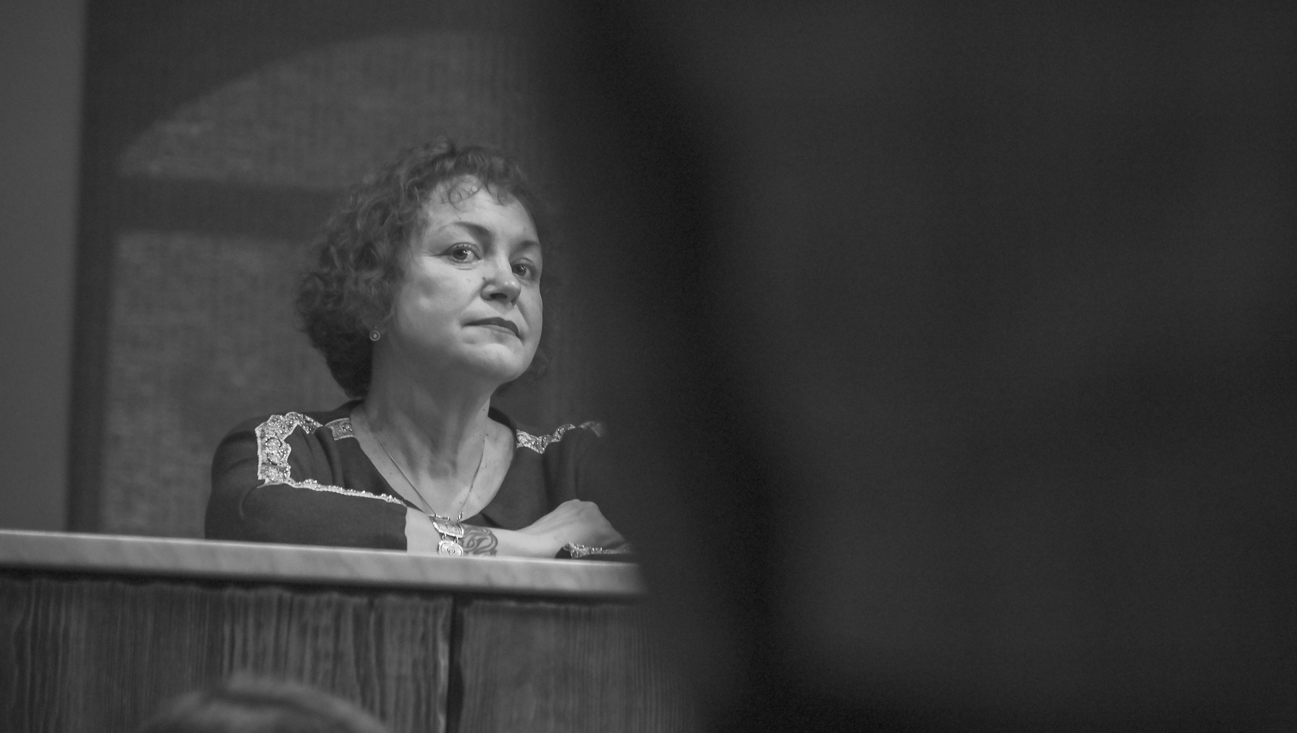 Творческий вечер Михаила Гребенникова в РКС «БАZА 24». Репортажный профессиональный фотограф-любитель