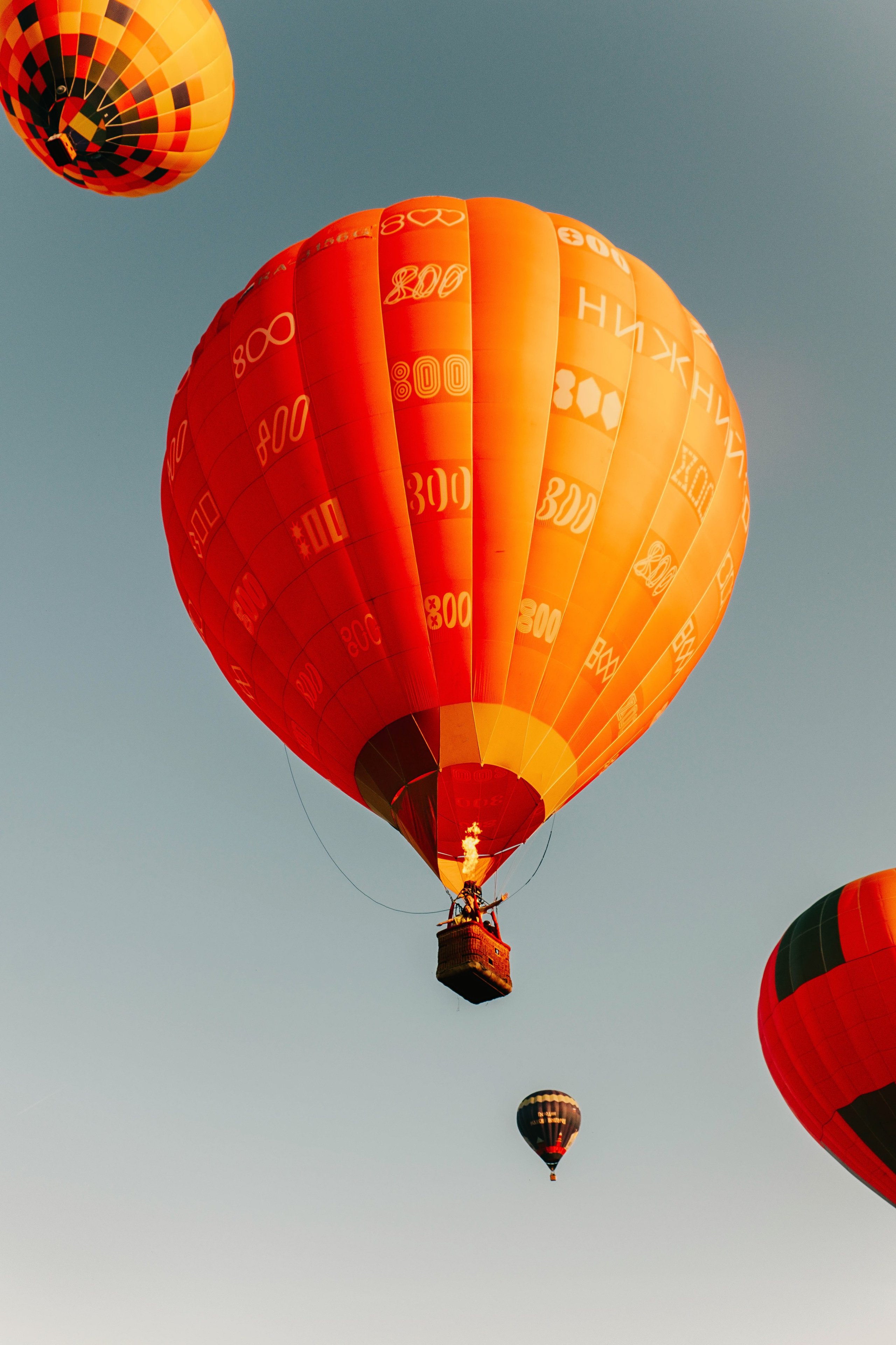 Предложение руки и сердца. Портретный и свадебный фотограф в Йошкар-Оле Егошина Екатерина