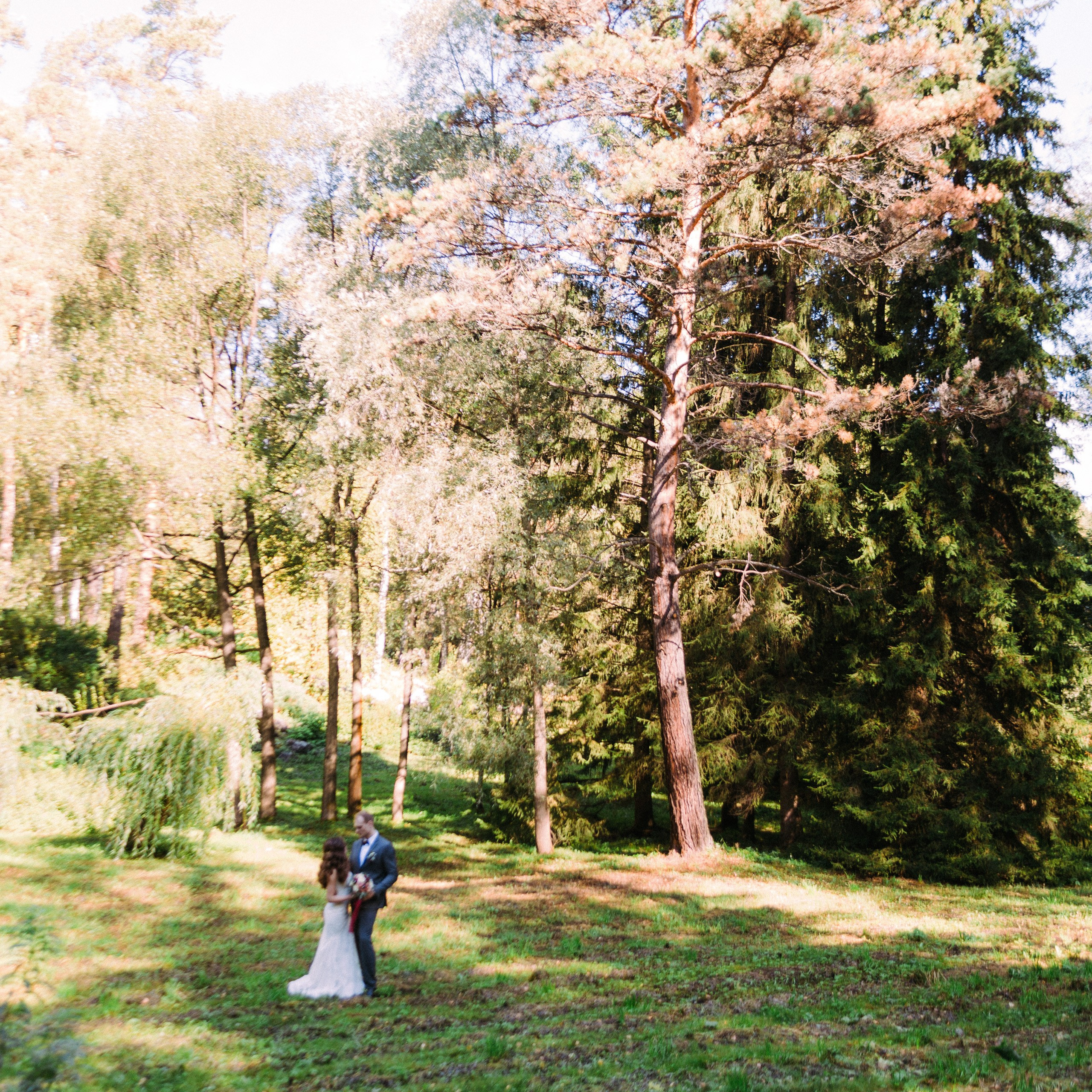 Солнце, яблоки и лодка. Фотограф Серафим Крюков