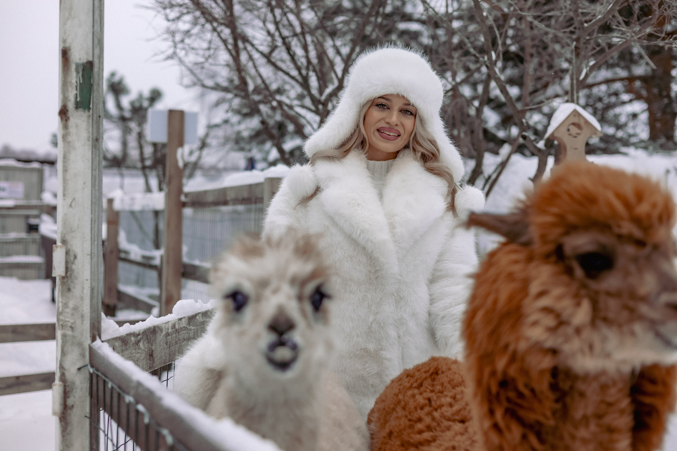 Алина. Детский и семейный фотограф Евгения Вахнеева Москва Зеленоград