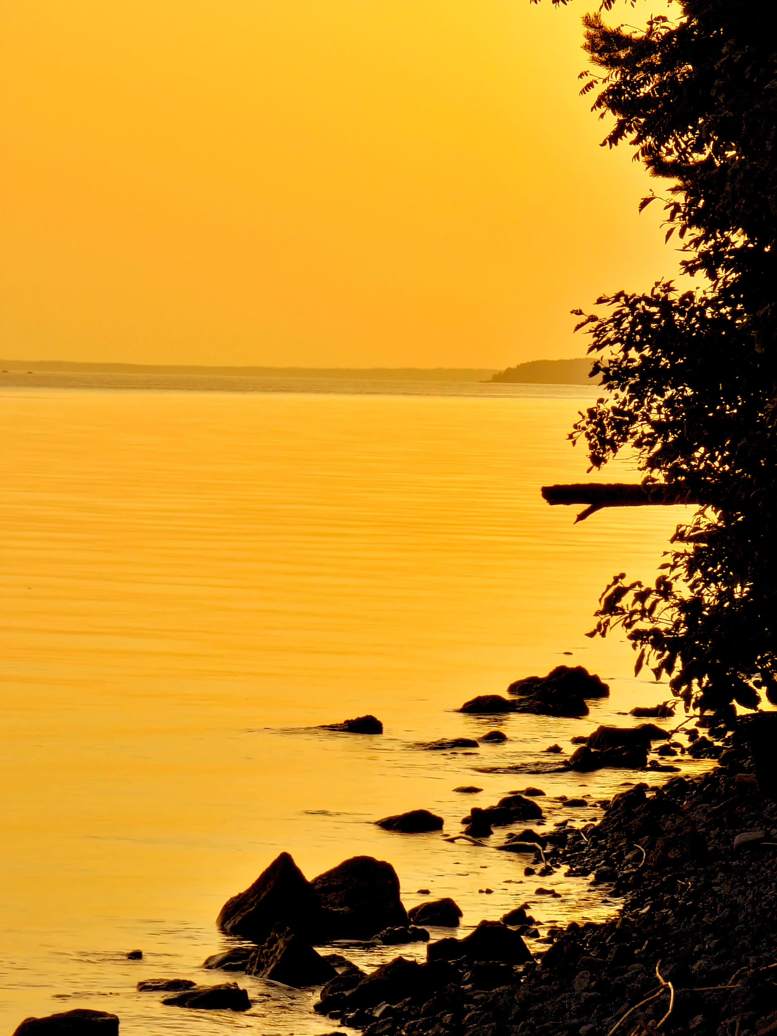 Июль 2025. Den Mirov — Фотограф, Музыкант