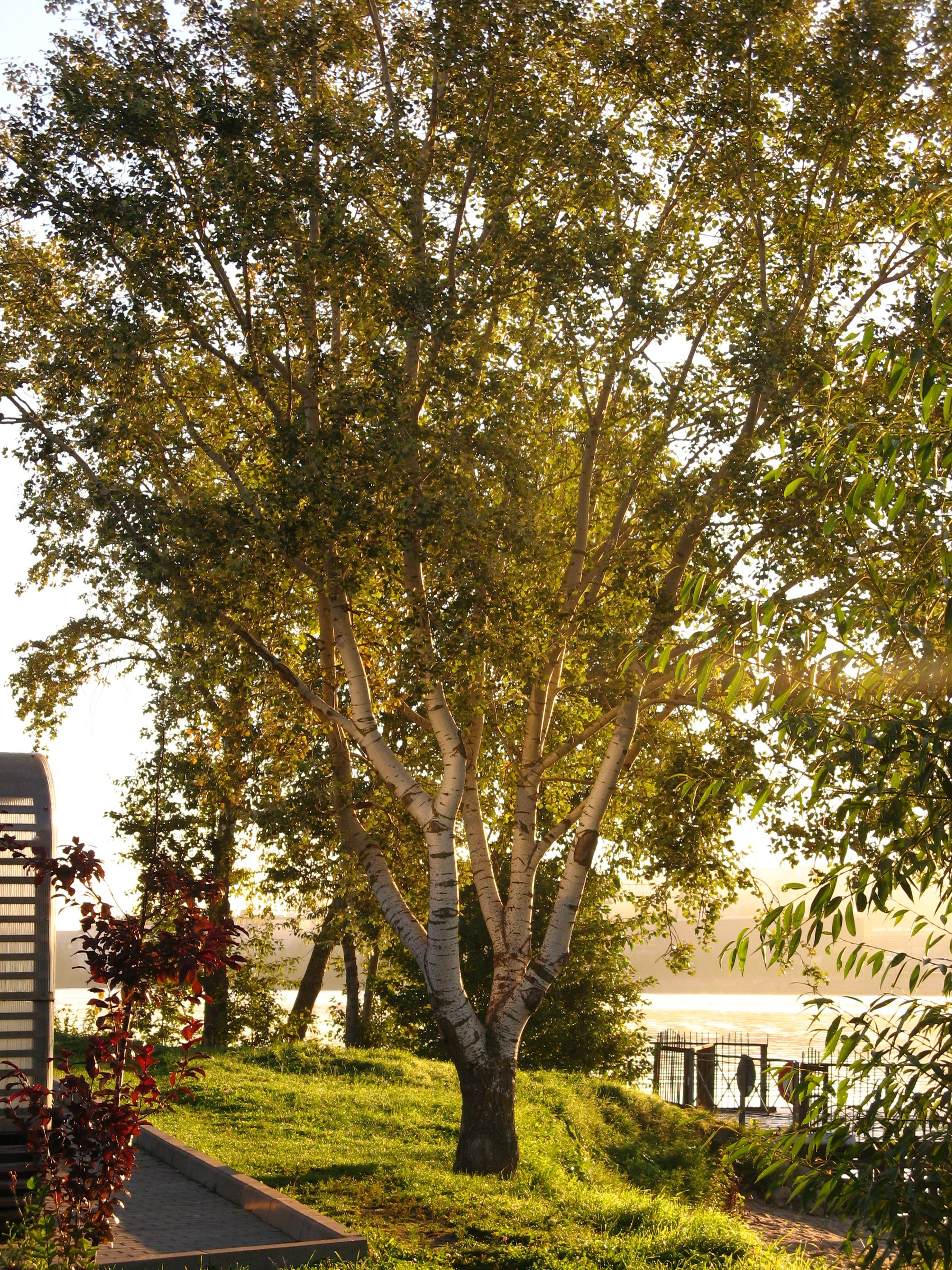 Сентябрь 2025. Den Mirov — Фотограф, Музыкант