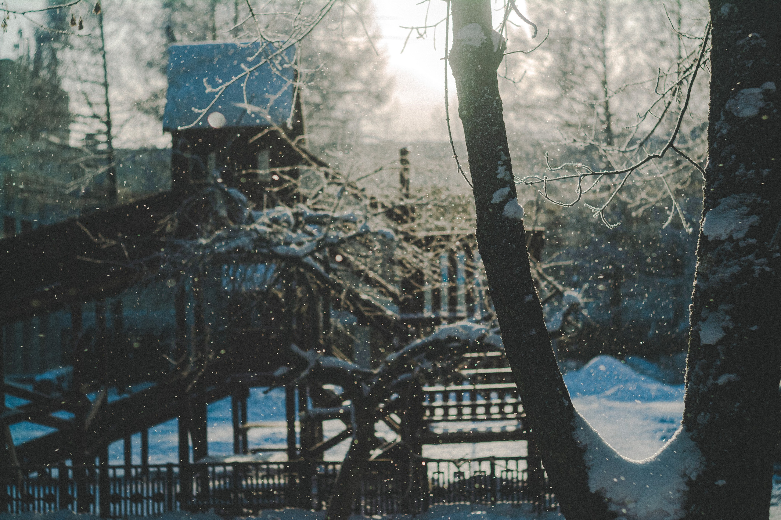 Мороз. Den Mirov — Фотограф, Музыкант