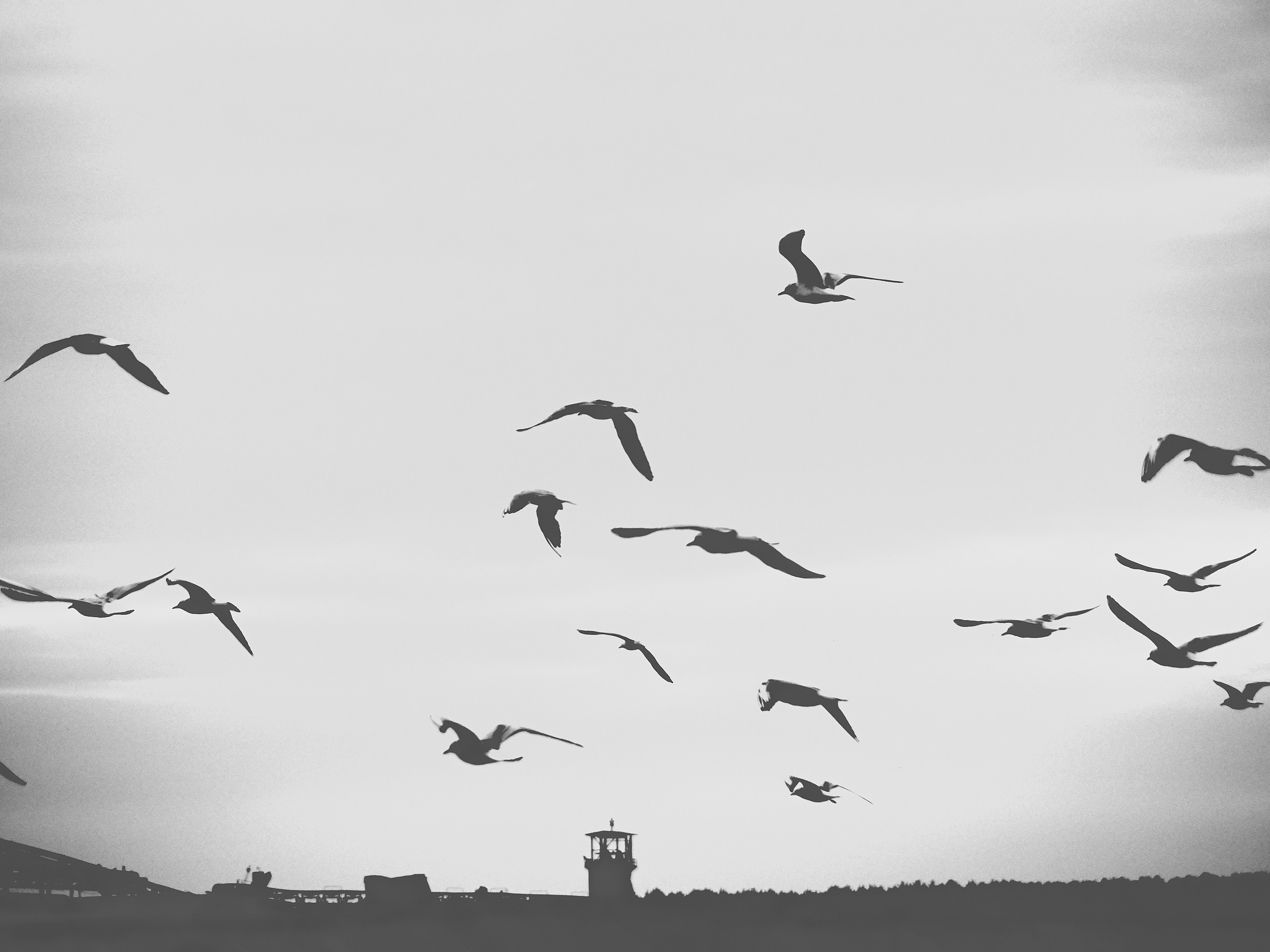 Сайт в процессе разработки