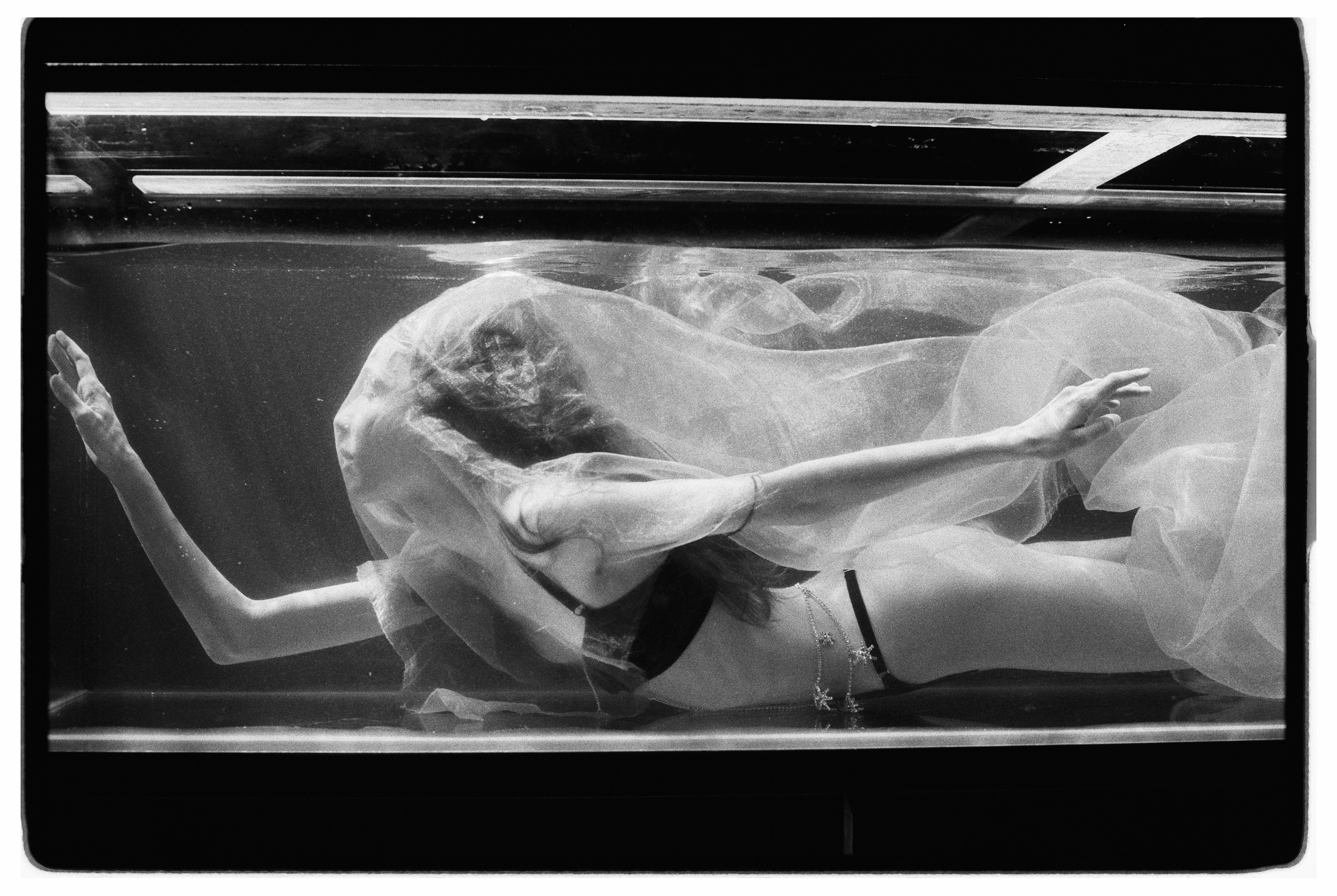 Swimming Beauty. Фотограф Александр Медведев