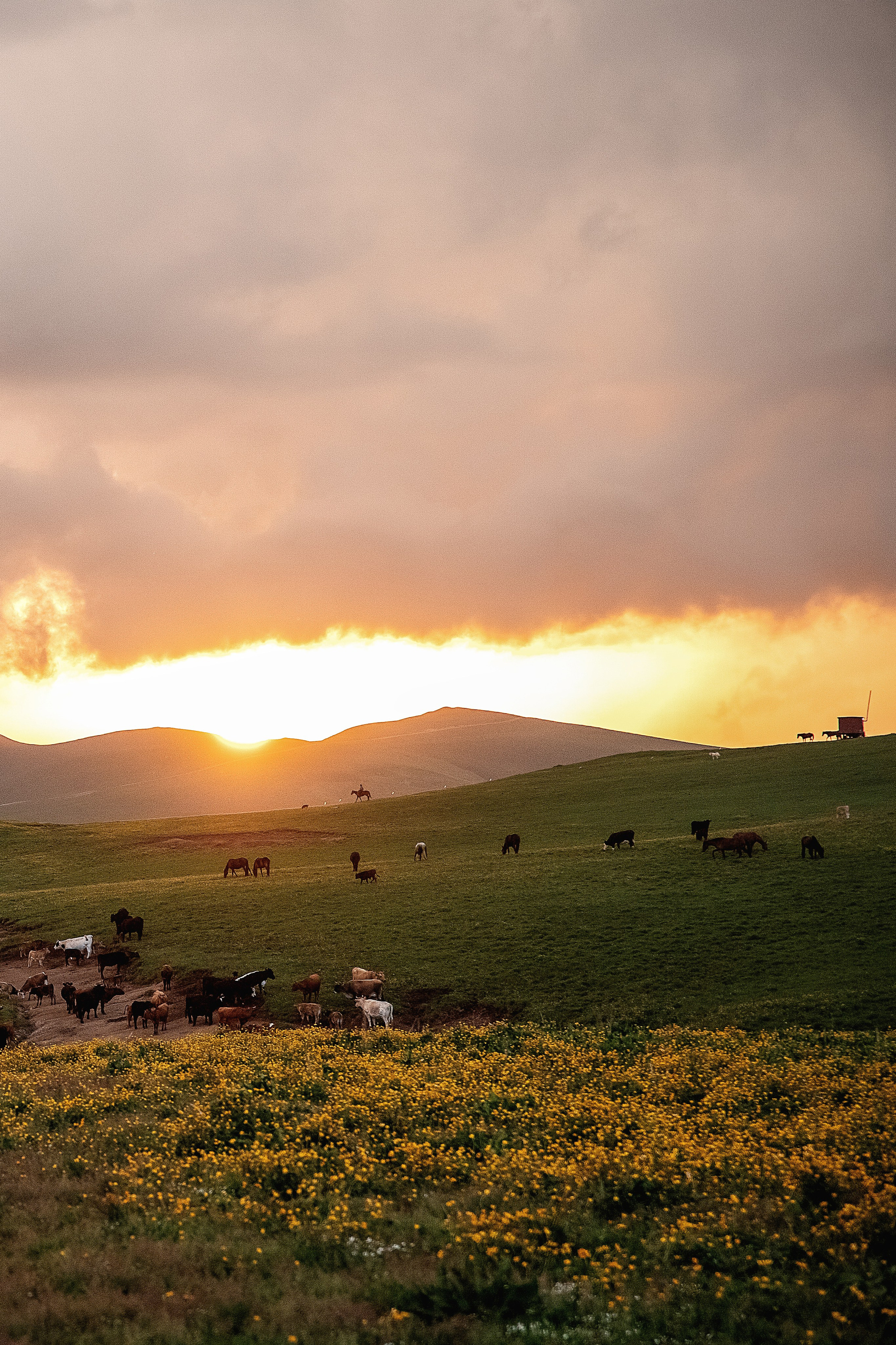 Плато Бийчесын. BrisArts