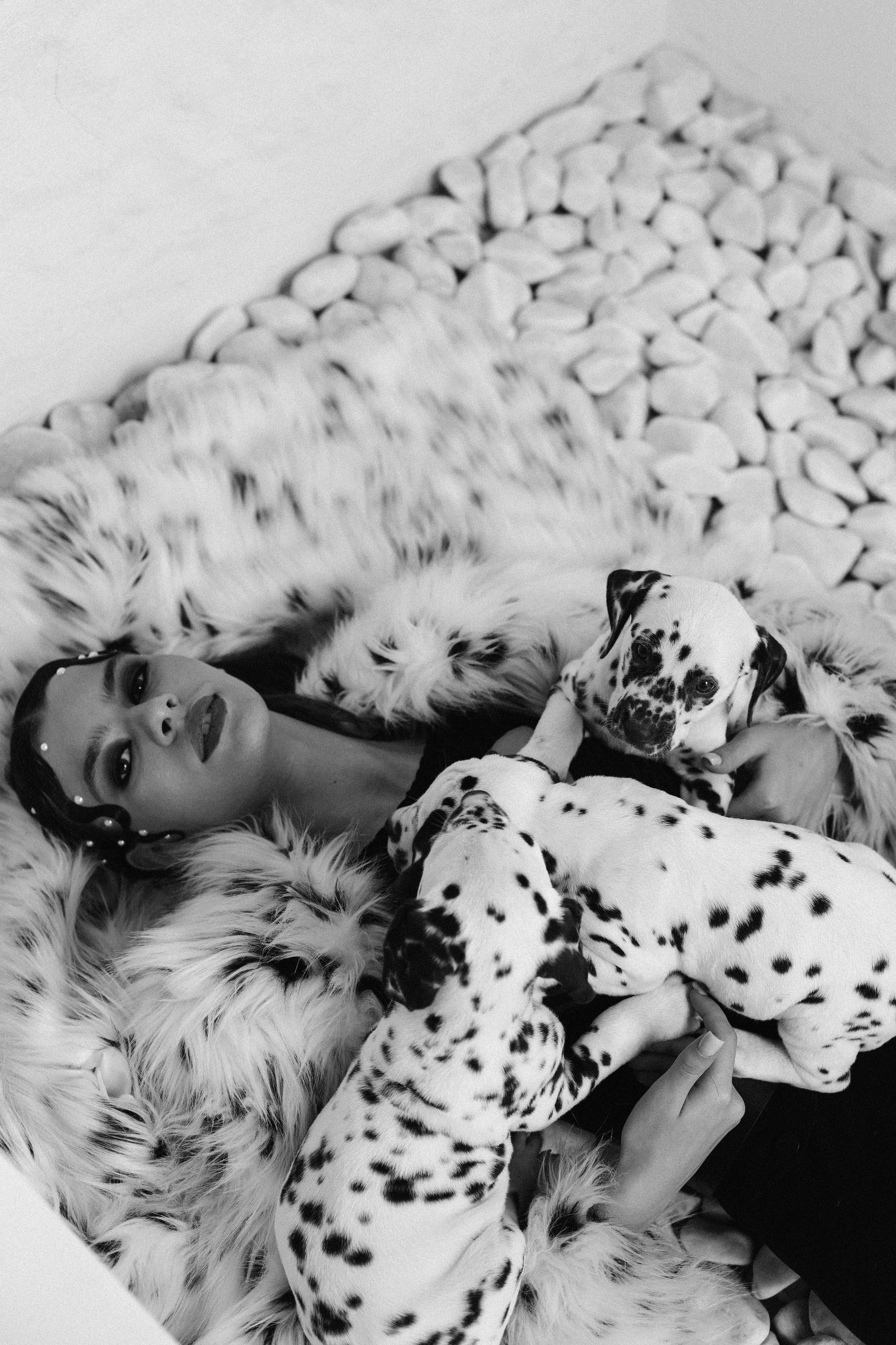 Md:@m_korsunenko Hair: @aleksandrova.hair Org: @creative_photoday Loc: Ark studio | фотостудия СПБ Dogs: vk.com/club2372836