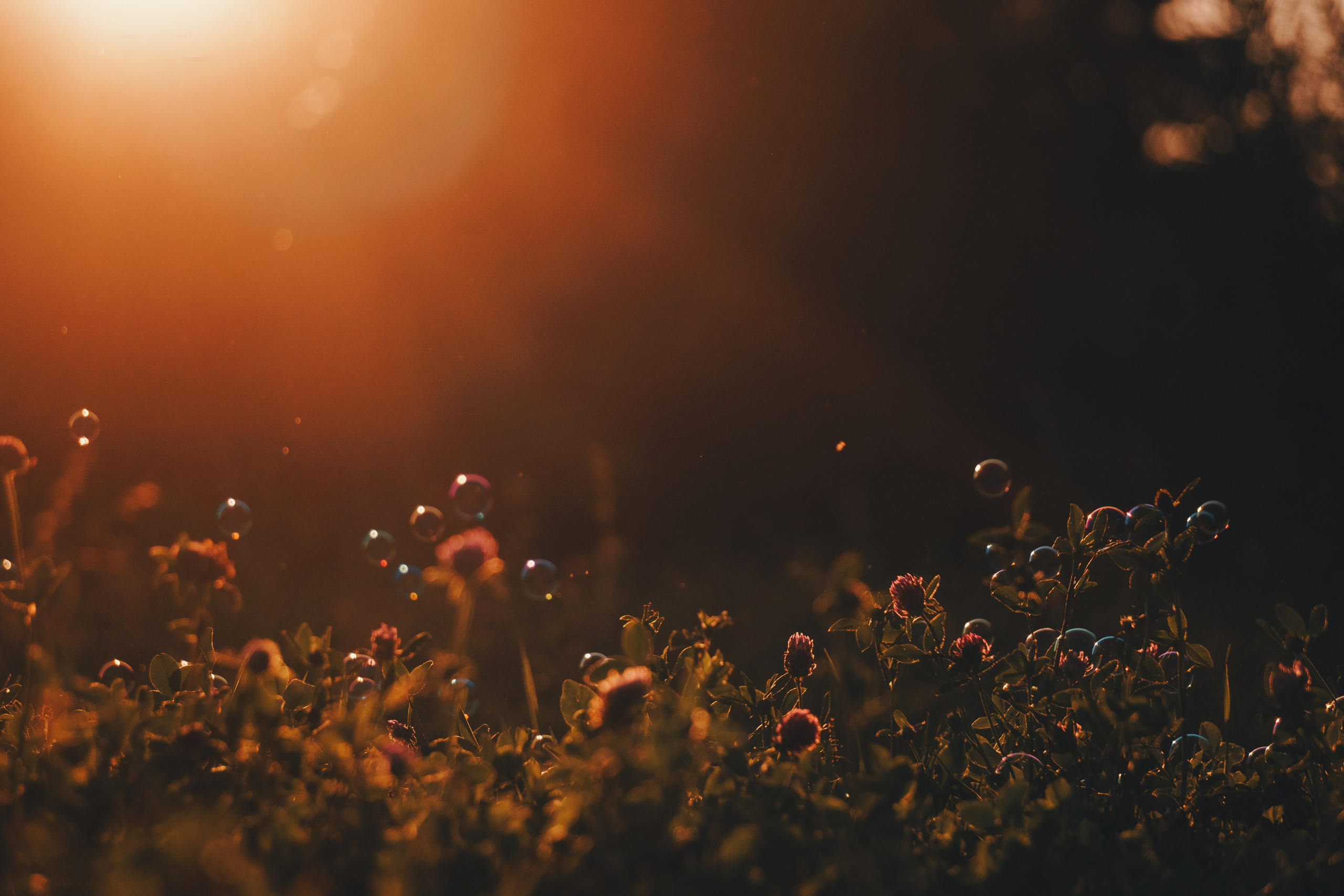 Катя и Яшма. Фотограф-анималист Ксения Воробьева, Москва