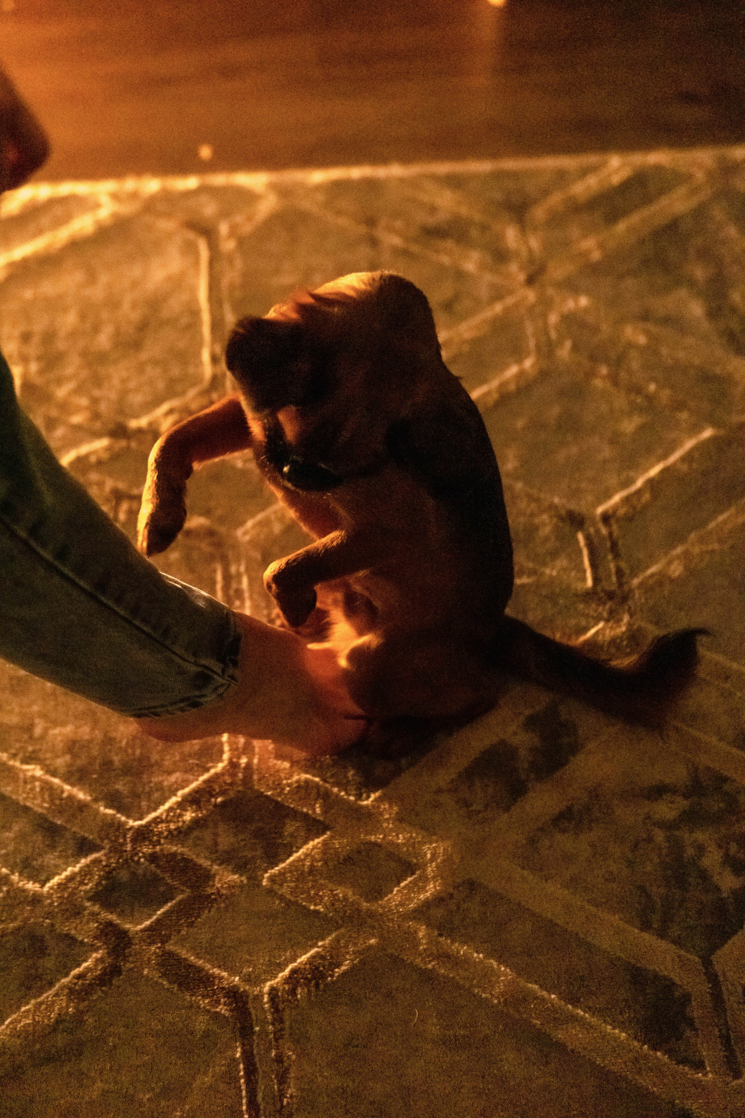 Надя и Ефим. Фотограф-анималист Ксения Воробьева, Москва