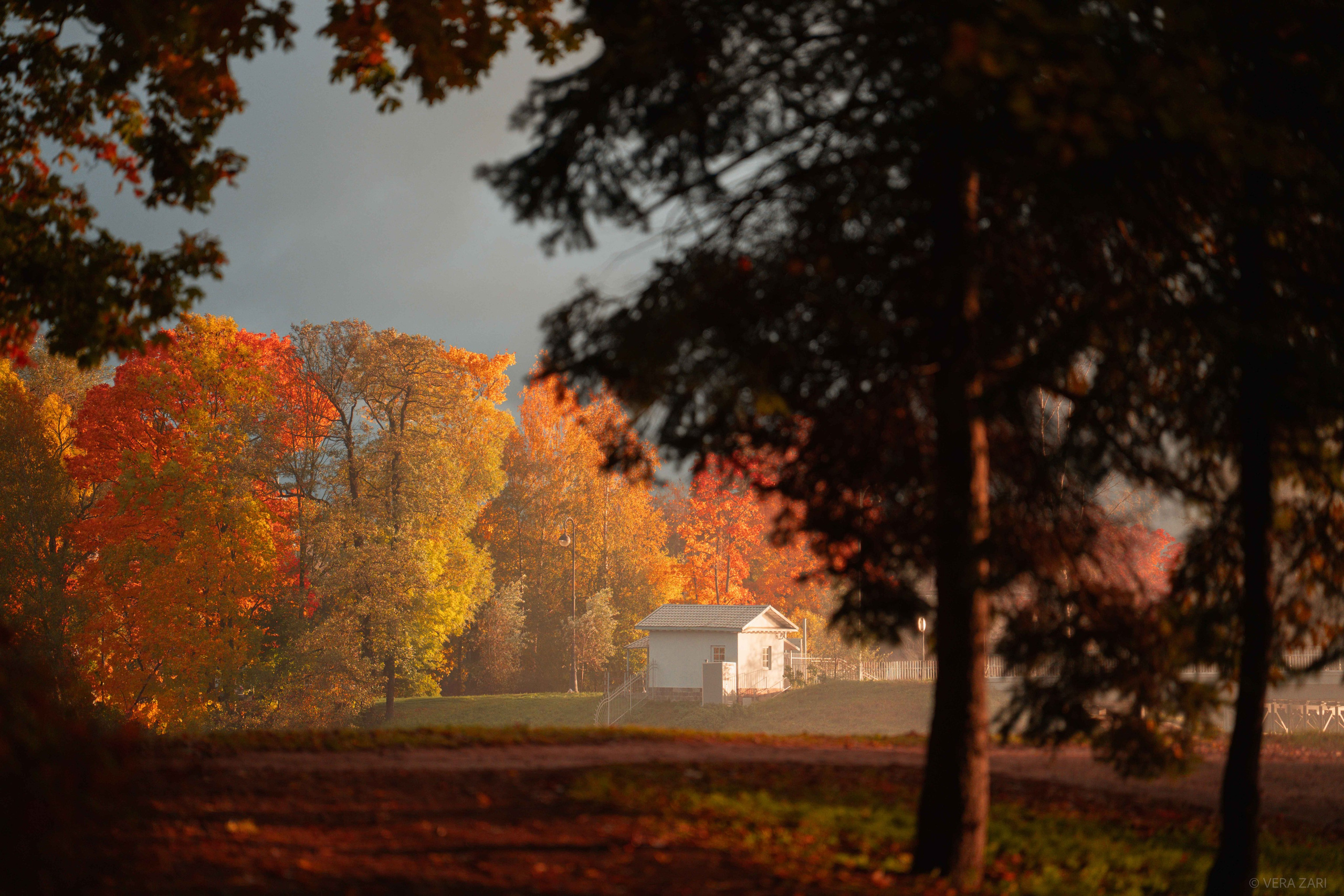 Творческие съемки. Фотограф в Санкт-Петербурге (портрет, индивидуальные, творческие съемки, каталог)