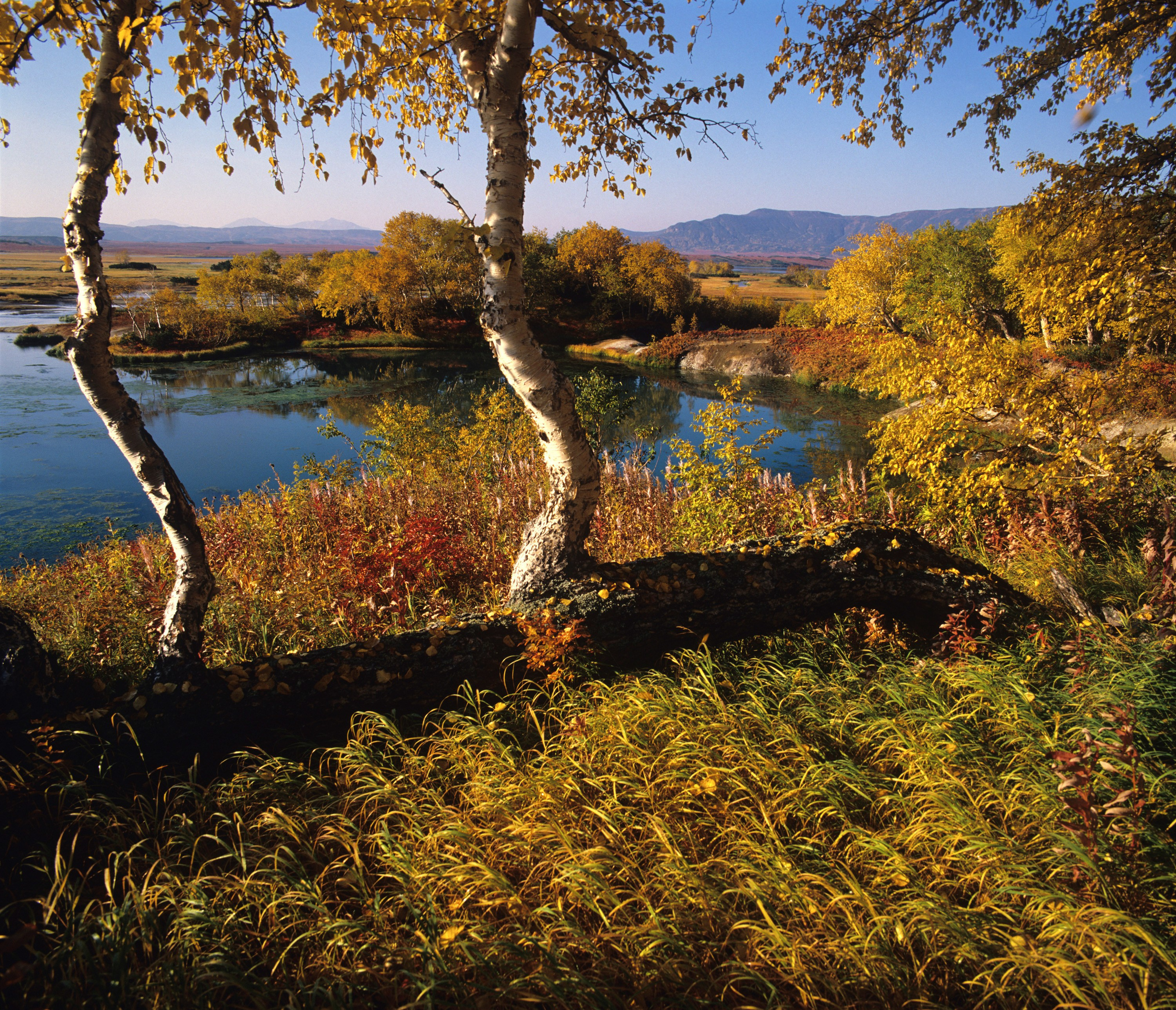 Камчатка. Кальдера Узон. ВАДИМ ГИППЕНРЕЙТЕР — ВЕЛИКИЙ ФОТОГРАФ ЗЕМЛИ РУССКОЙ