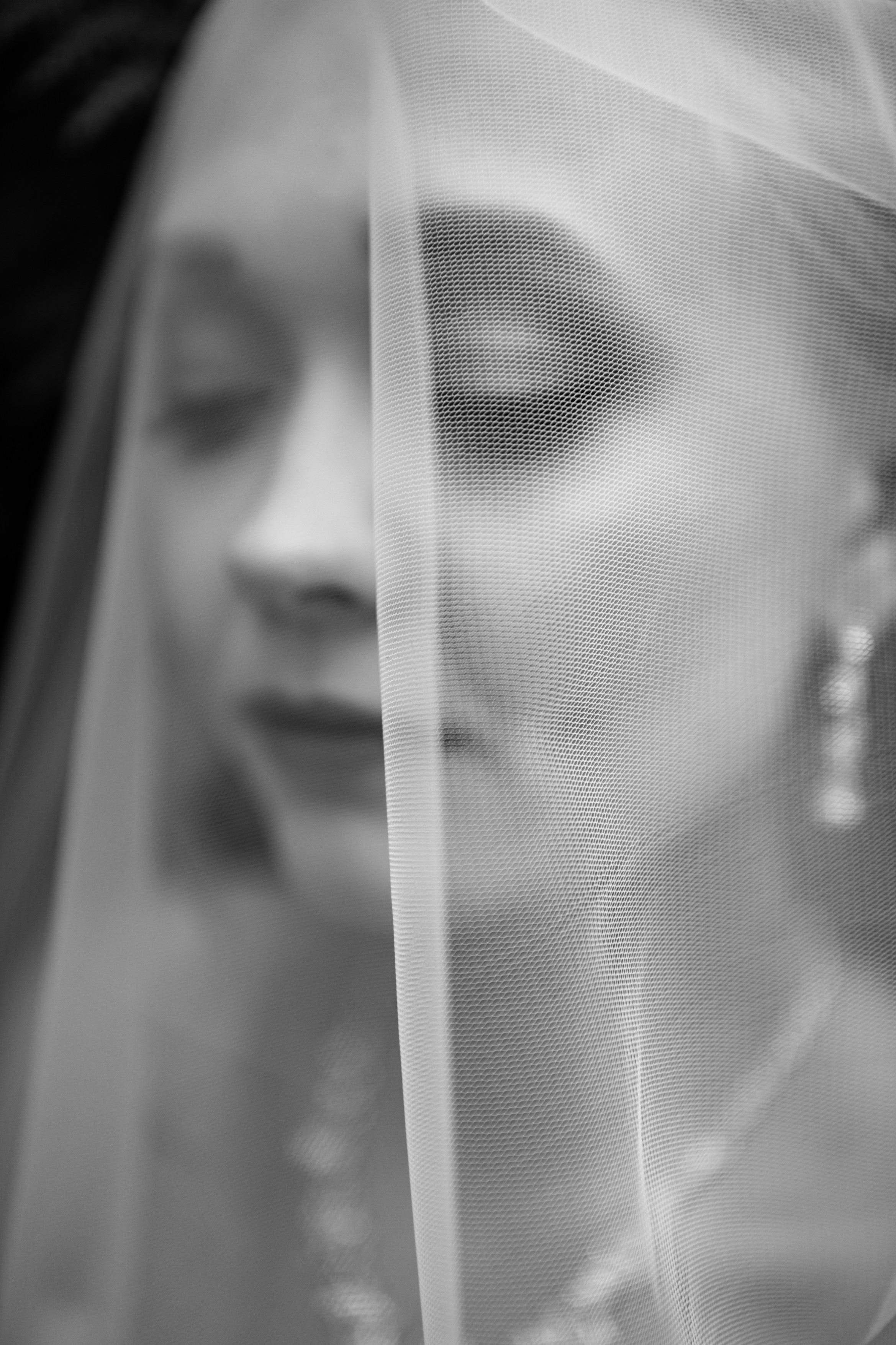 Даниил и Татьяна. Фомина Елена Свадебный и семейный фотограф