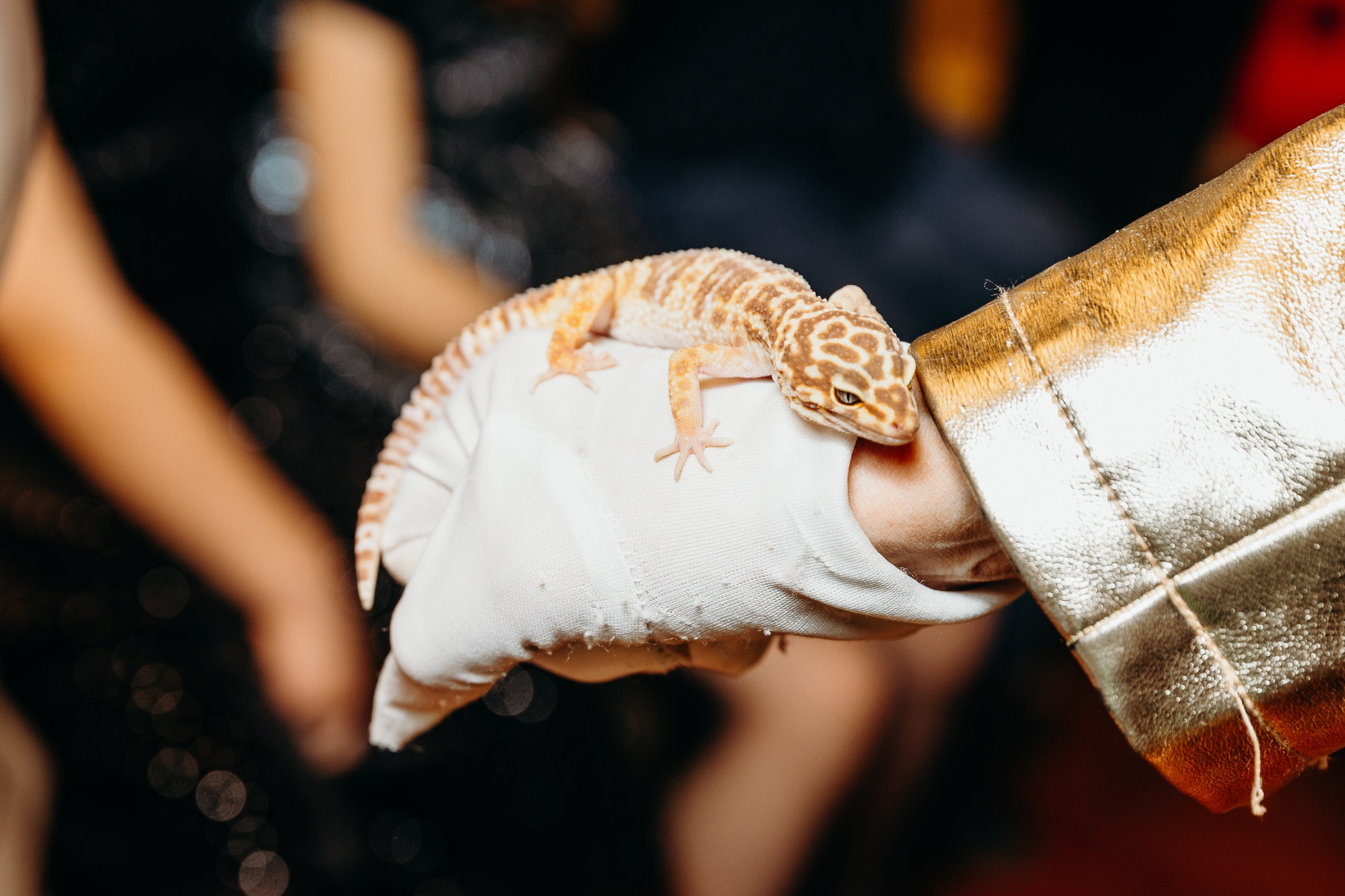 Кира 7 лет. Фотограф Вадим Казусь