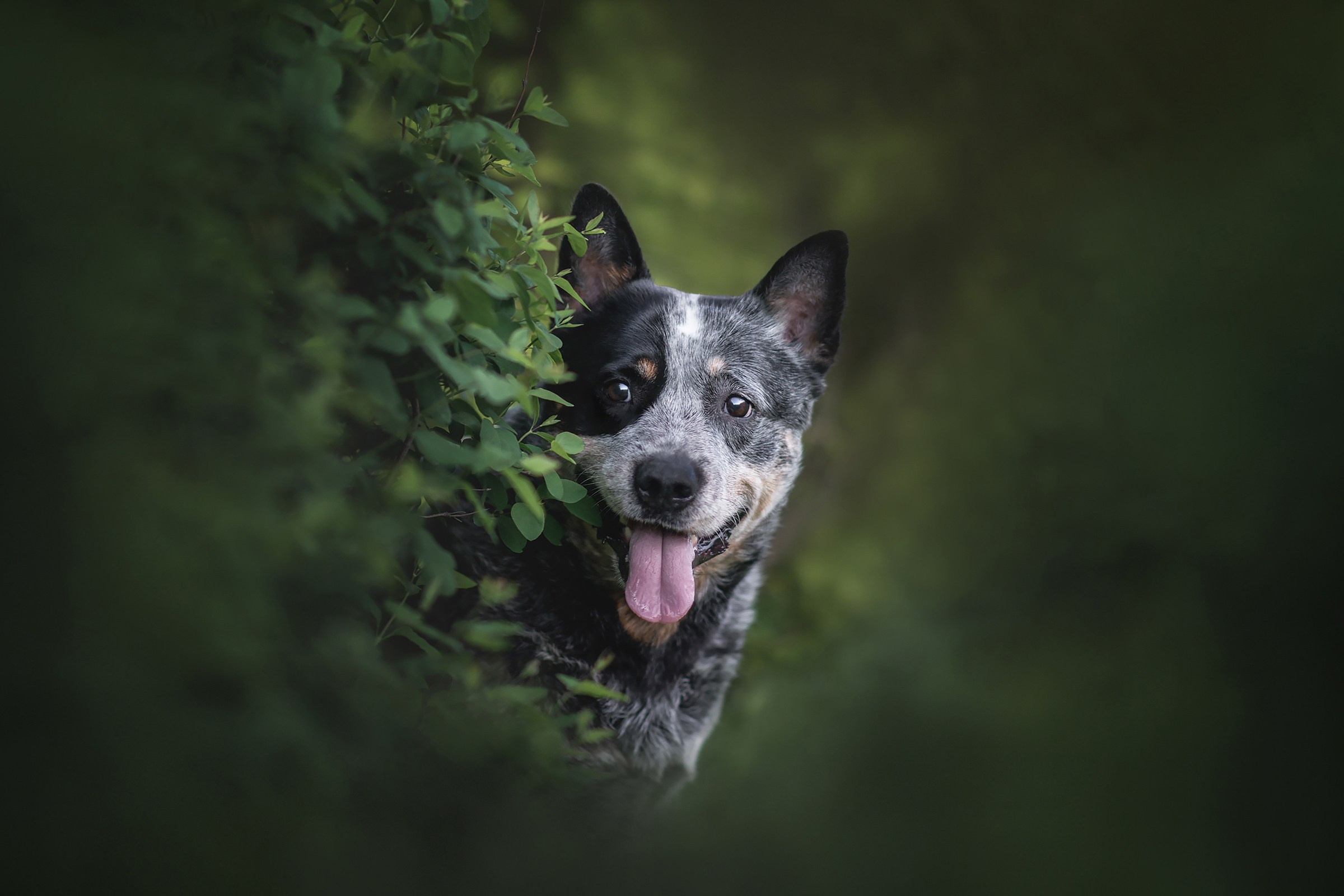 Yulia Gonchar | Photographer