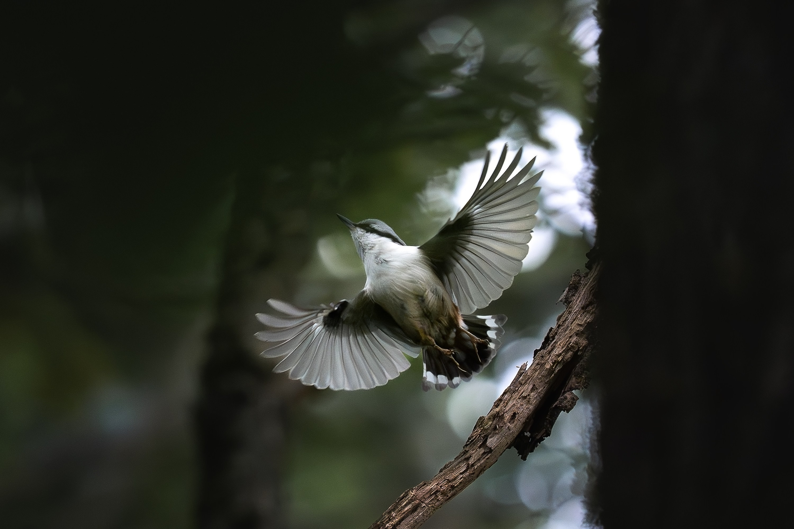 Yulia Gonchar | Photographer