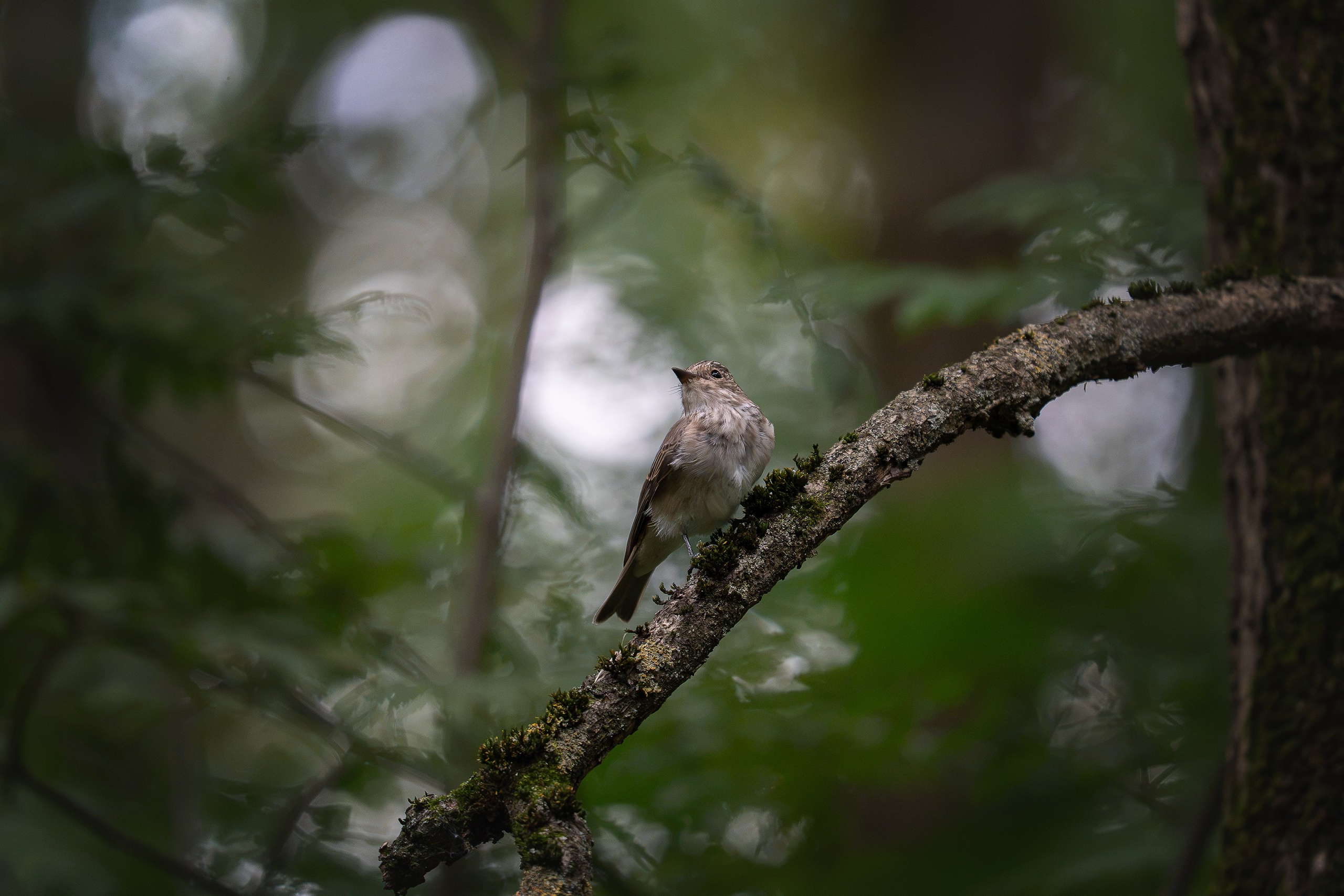 Yulia Gonchar | Photographer