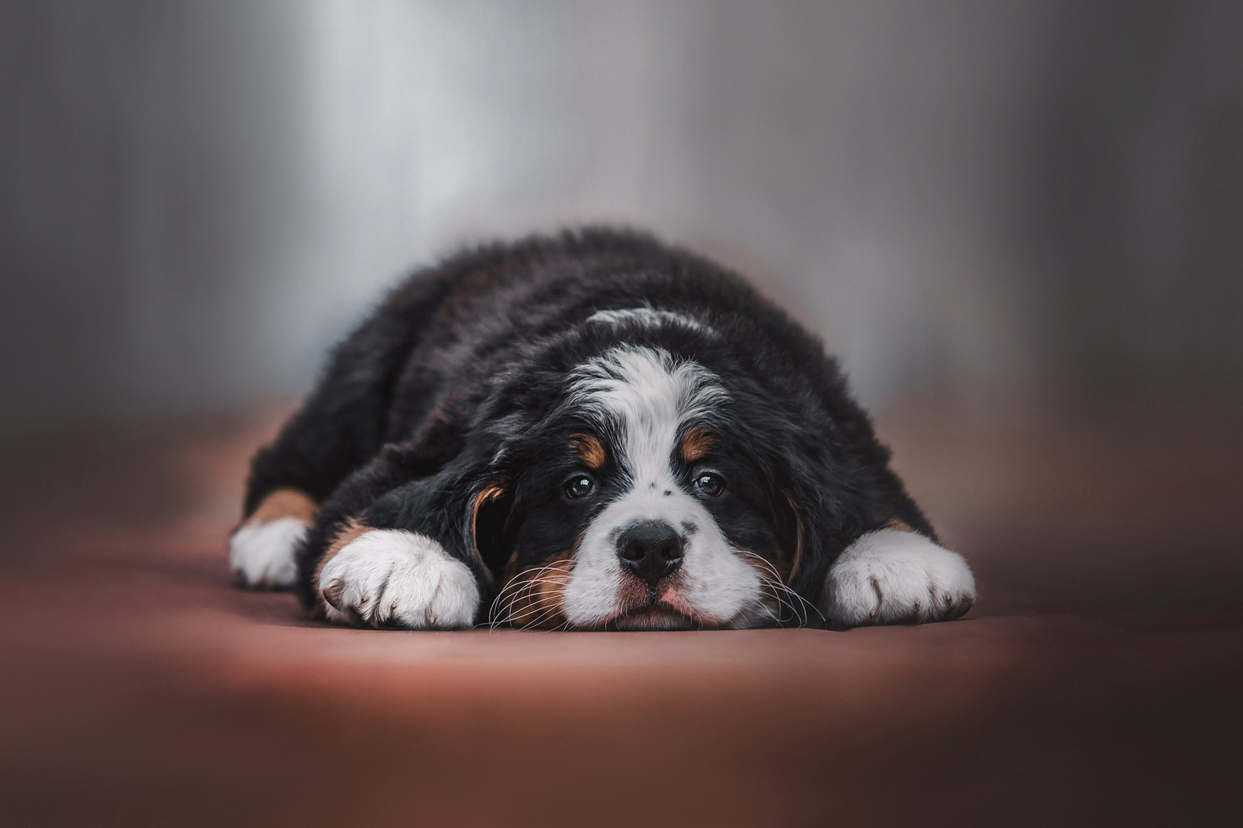 Yulia Gonchar | Photographer